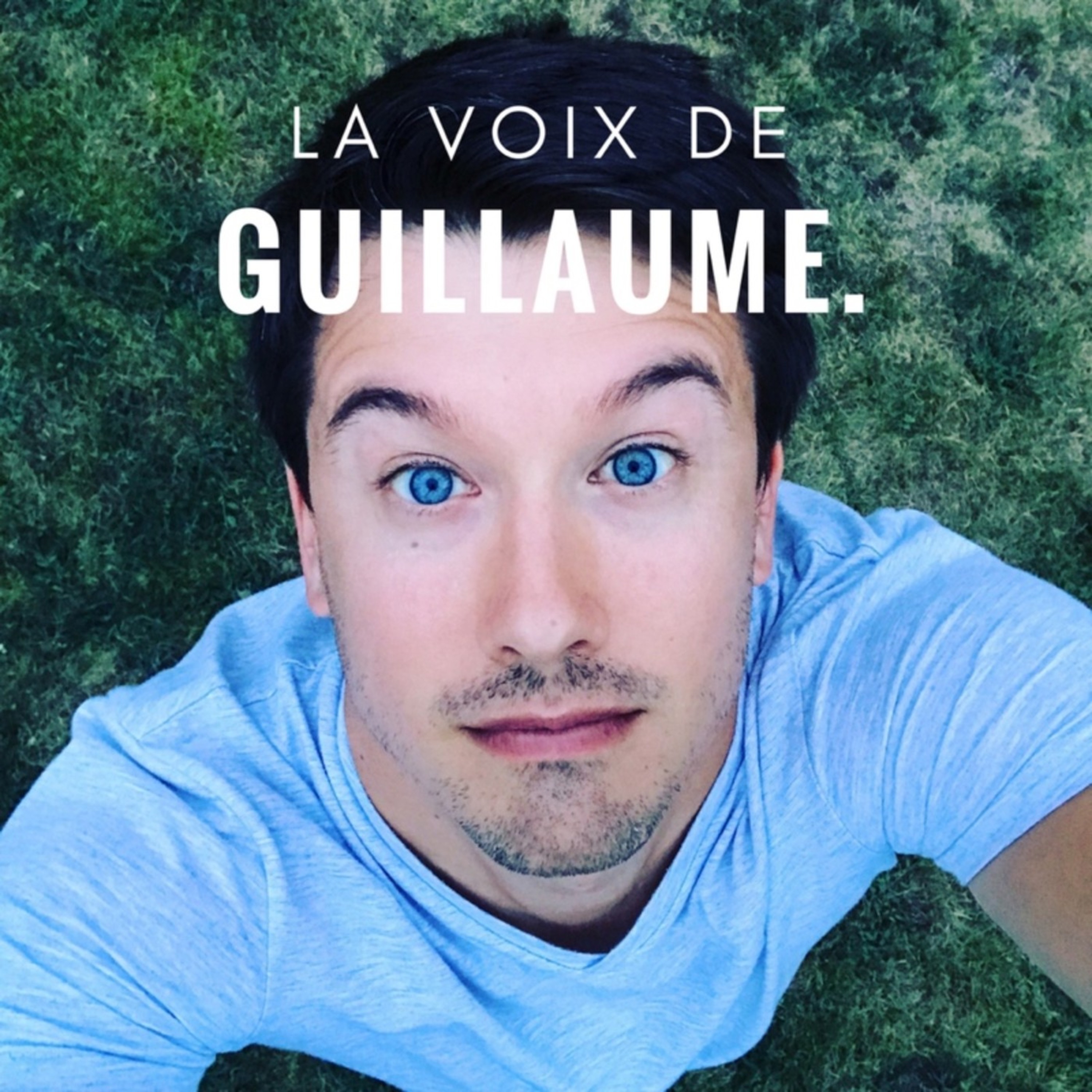 La voix de Guillaume Vendé