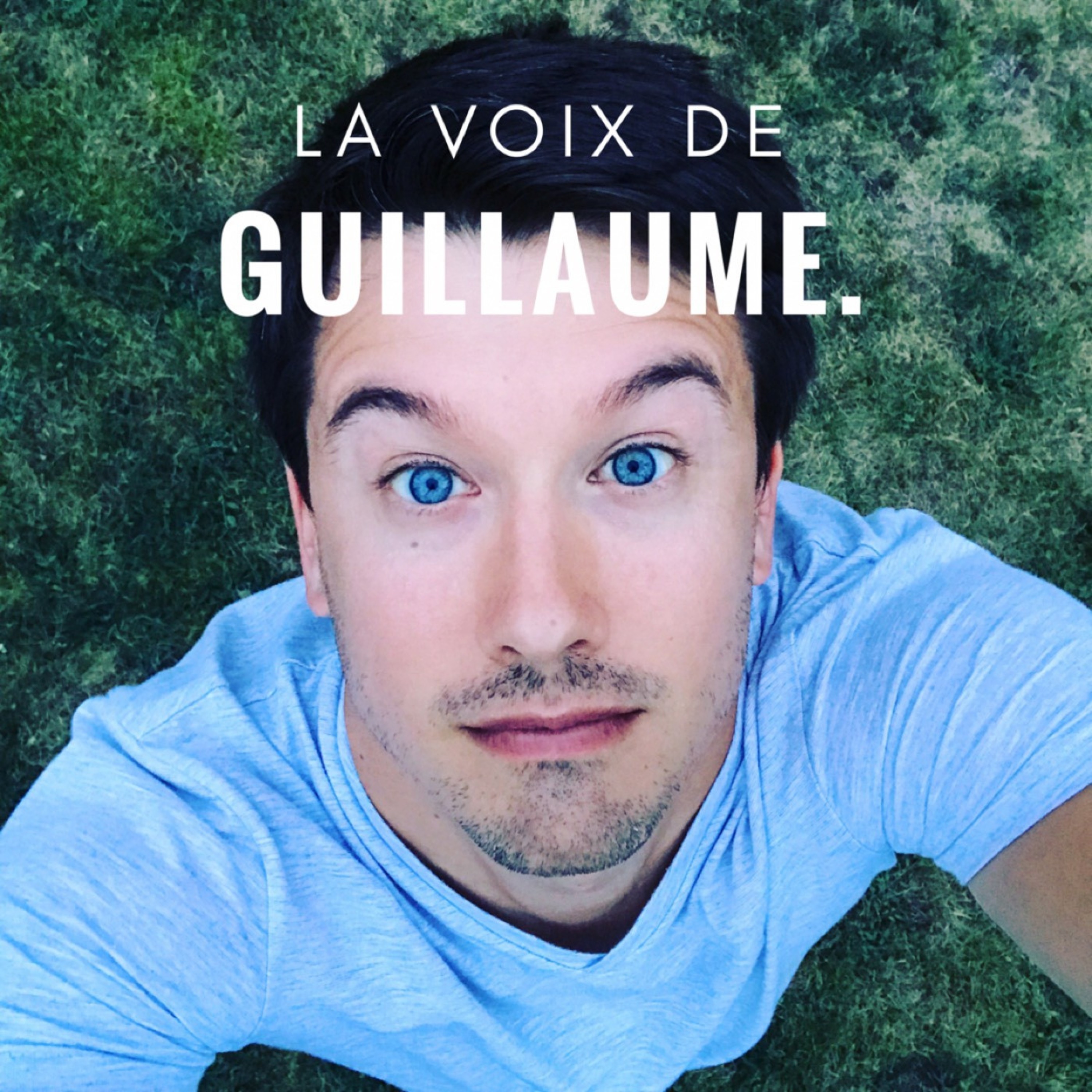 La voix de Guillaume Vendé