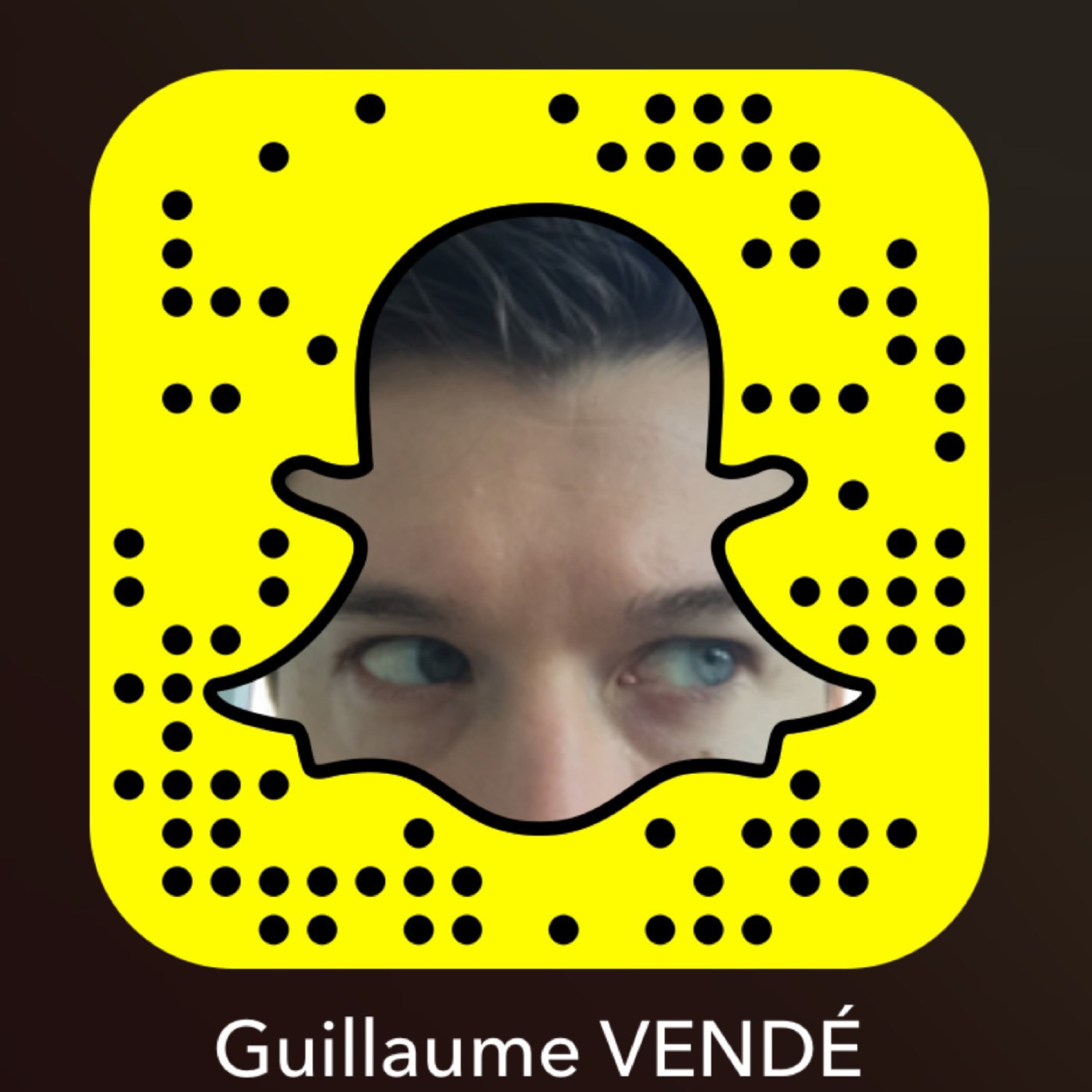 La voix de Guillaume Vendé