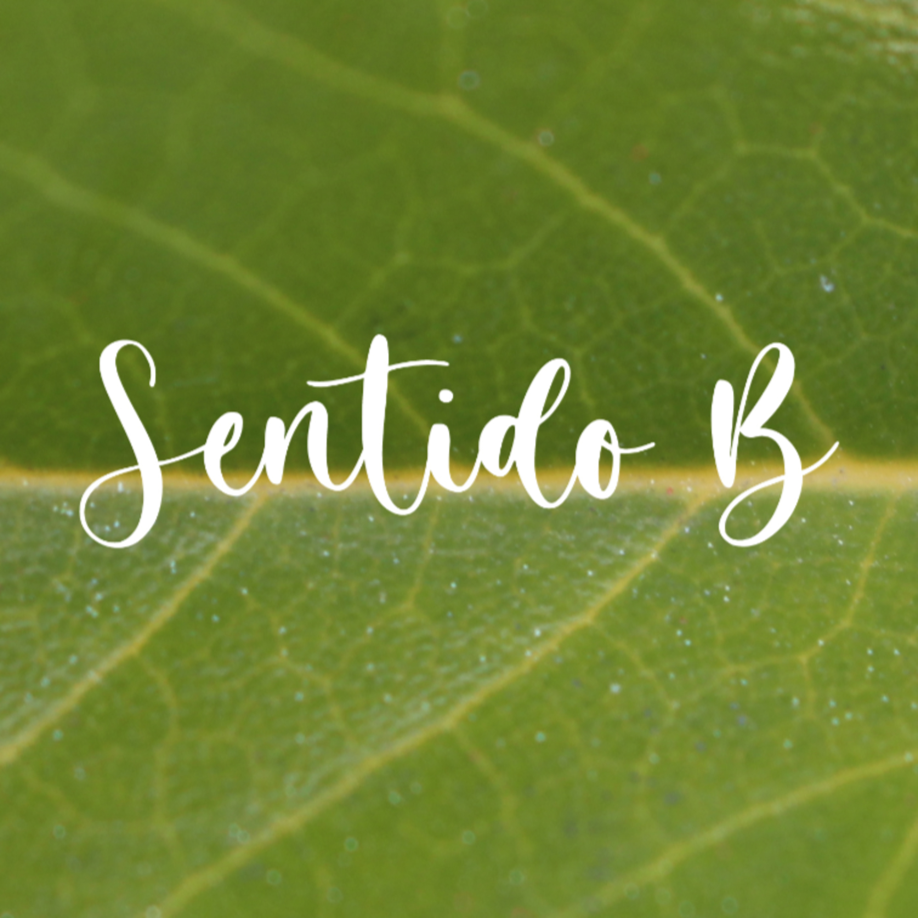 33 | Perda Gestacional episode artwork