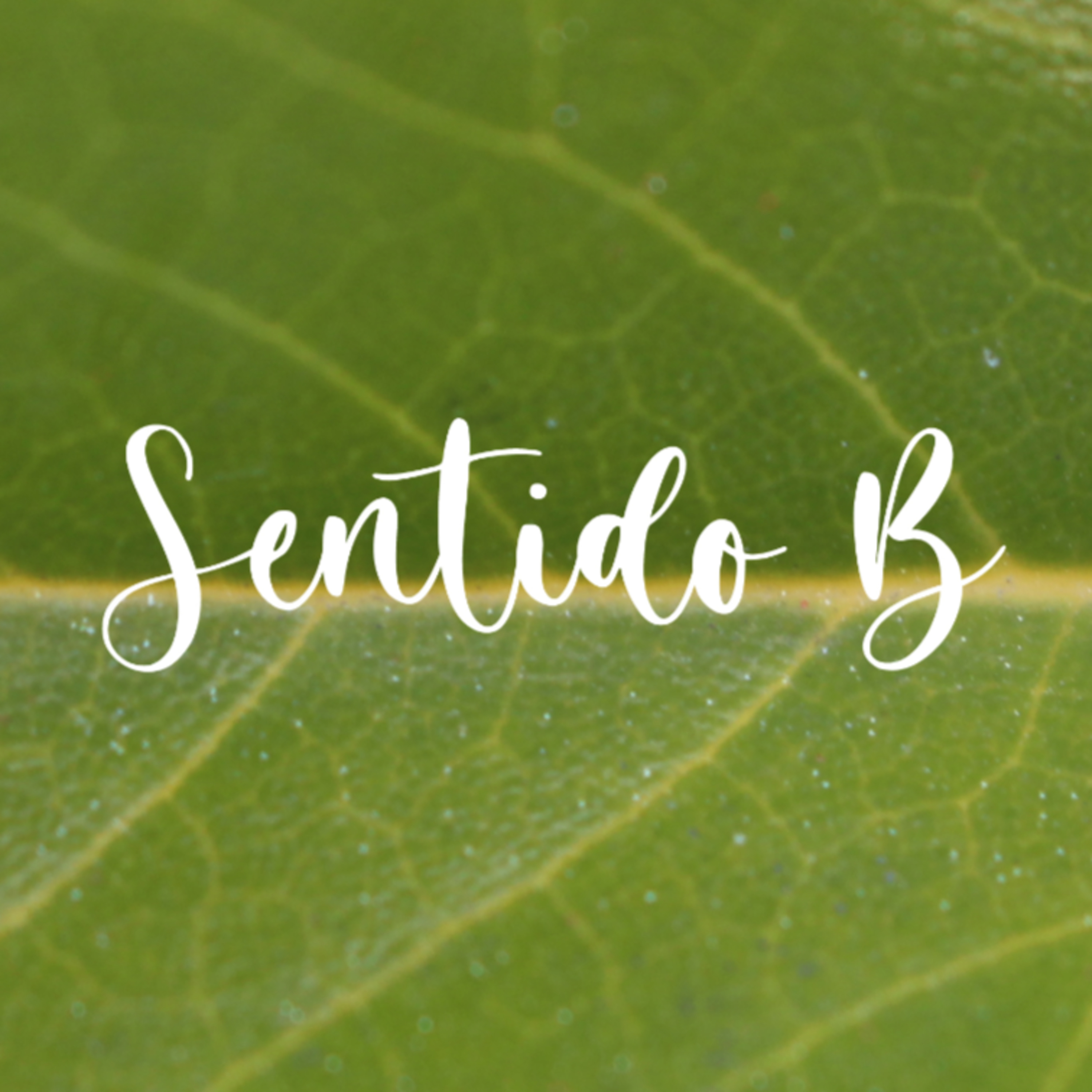 Querido Outono #27 episode artwork