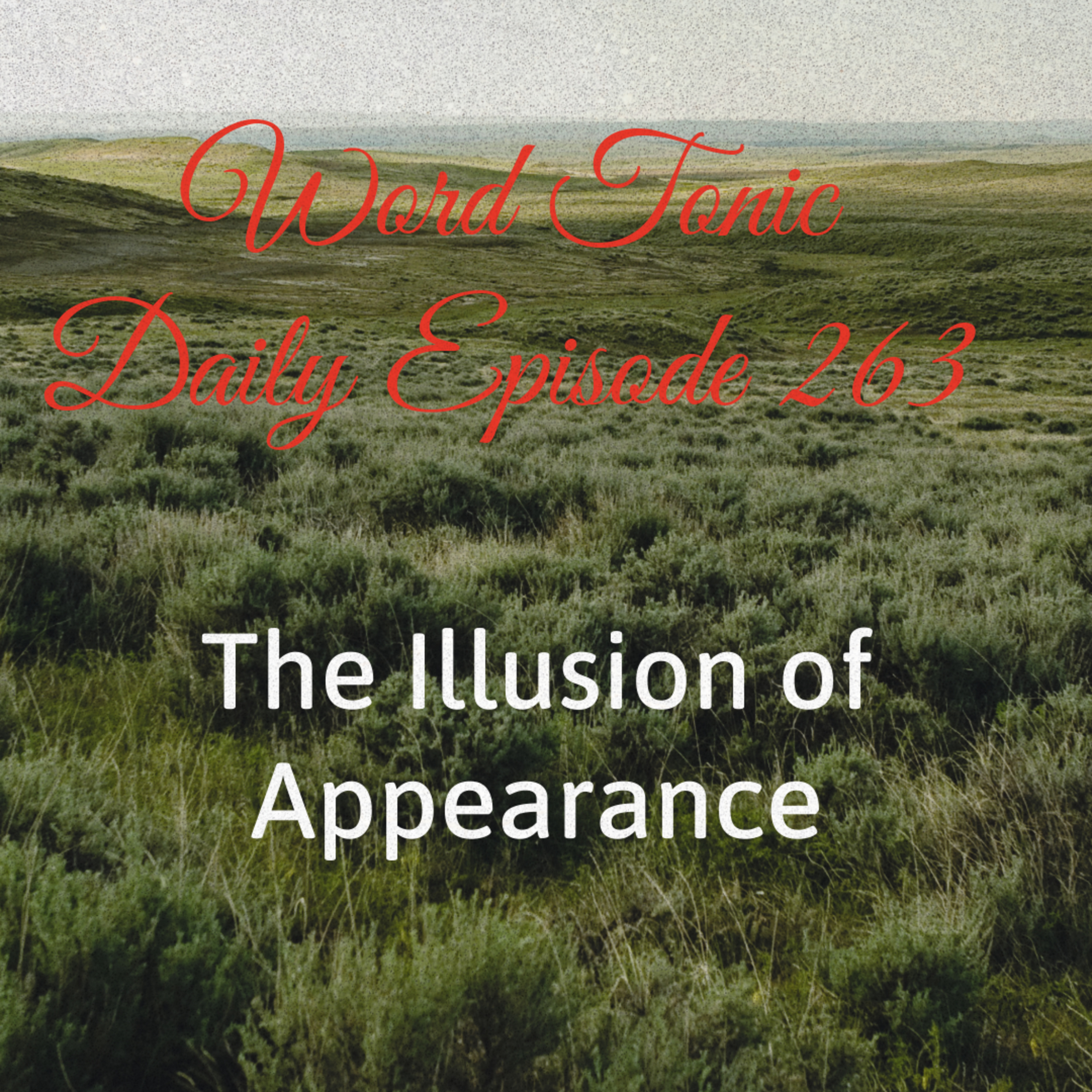 Word Tonic Daily Episode - 263 - The Illusion of Appearance episode artwork