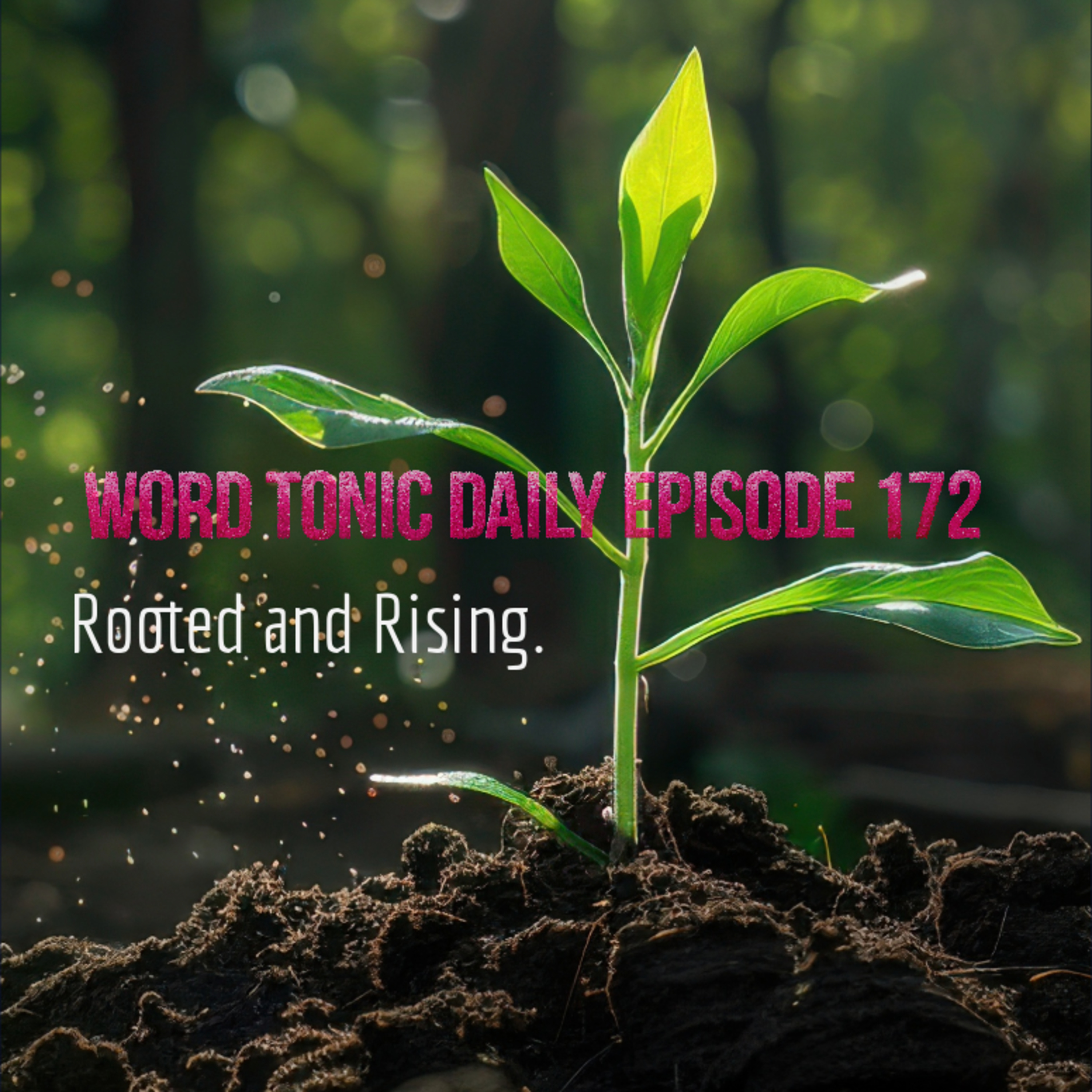 Word Tonic Daily Episode 272 - Rooted and Rising episode artwork