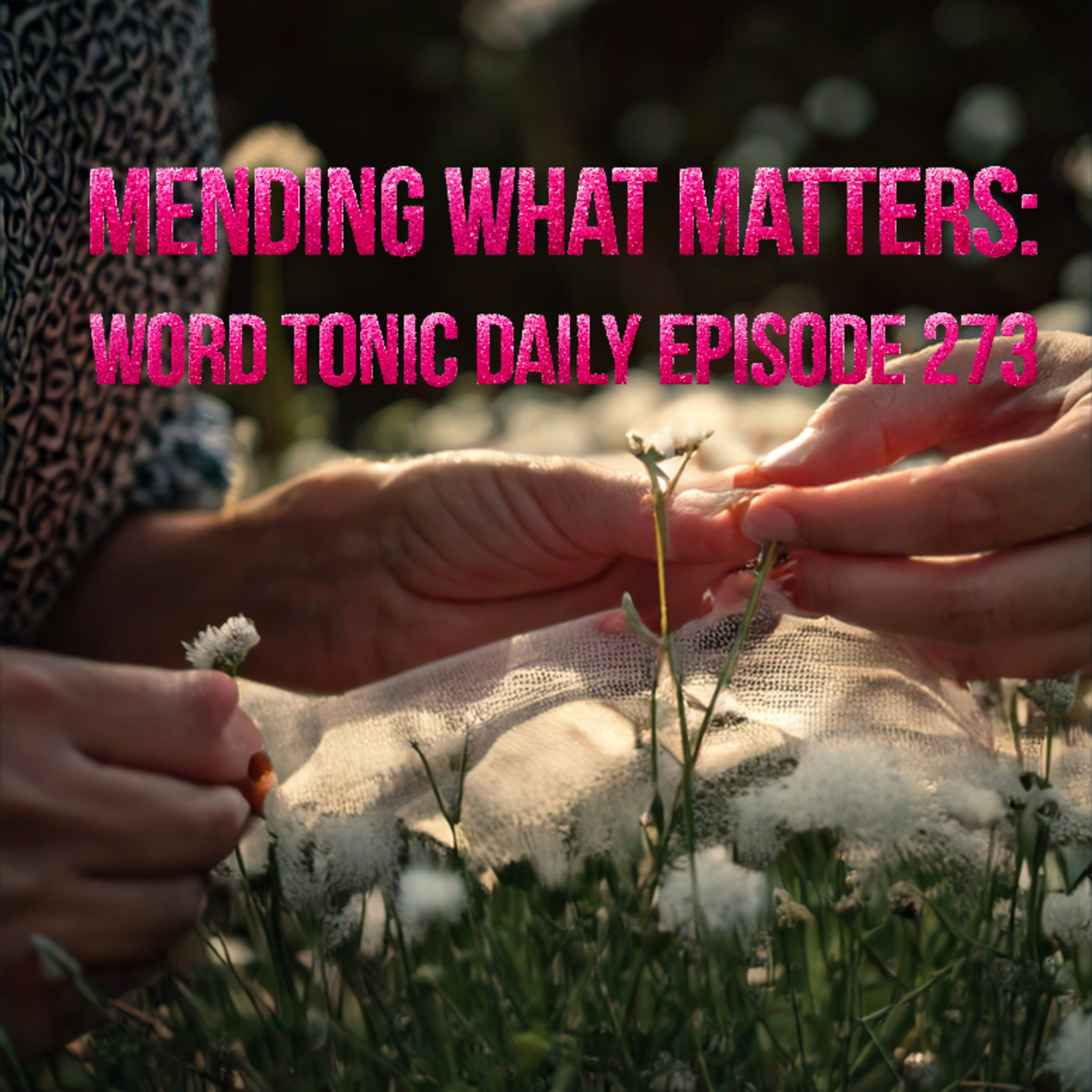 Word Tonic Daily Episode 273 - Mending What Matters episode artwork
