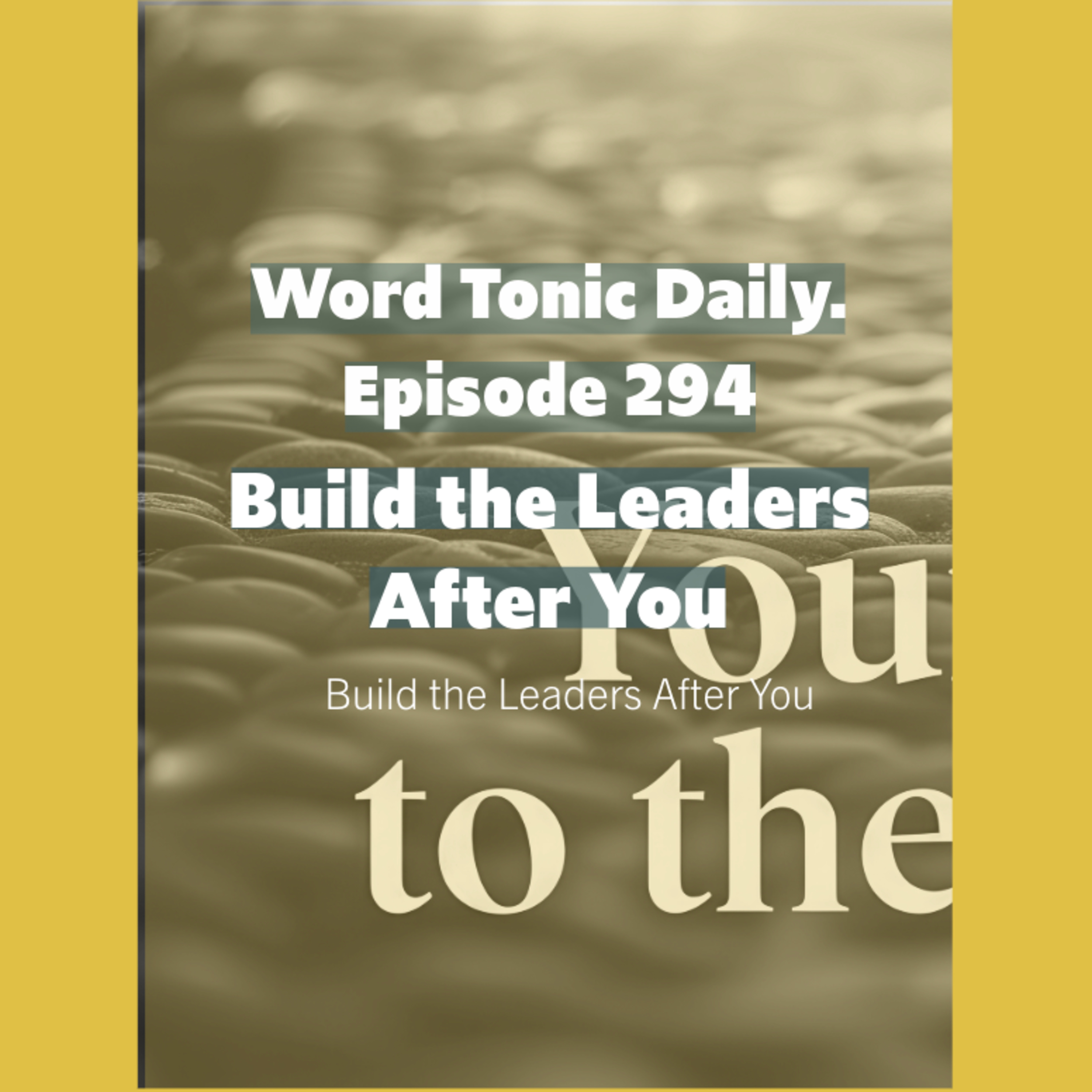 Word Tonic Daily. Episode 294 -Build the Leaders After You episode artwork