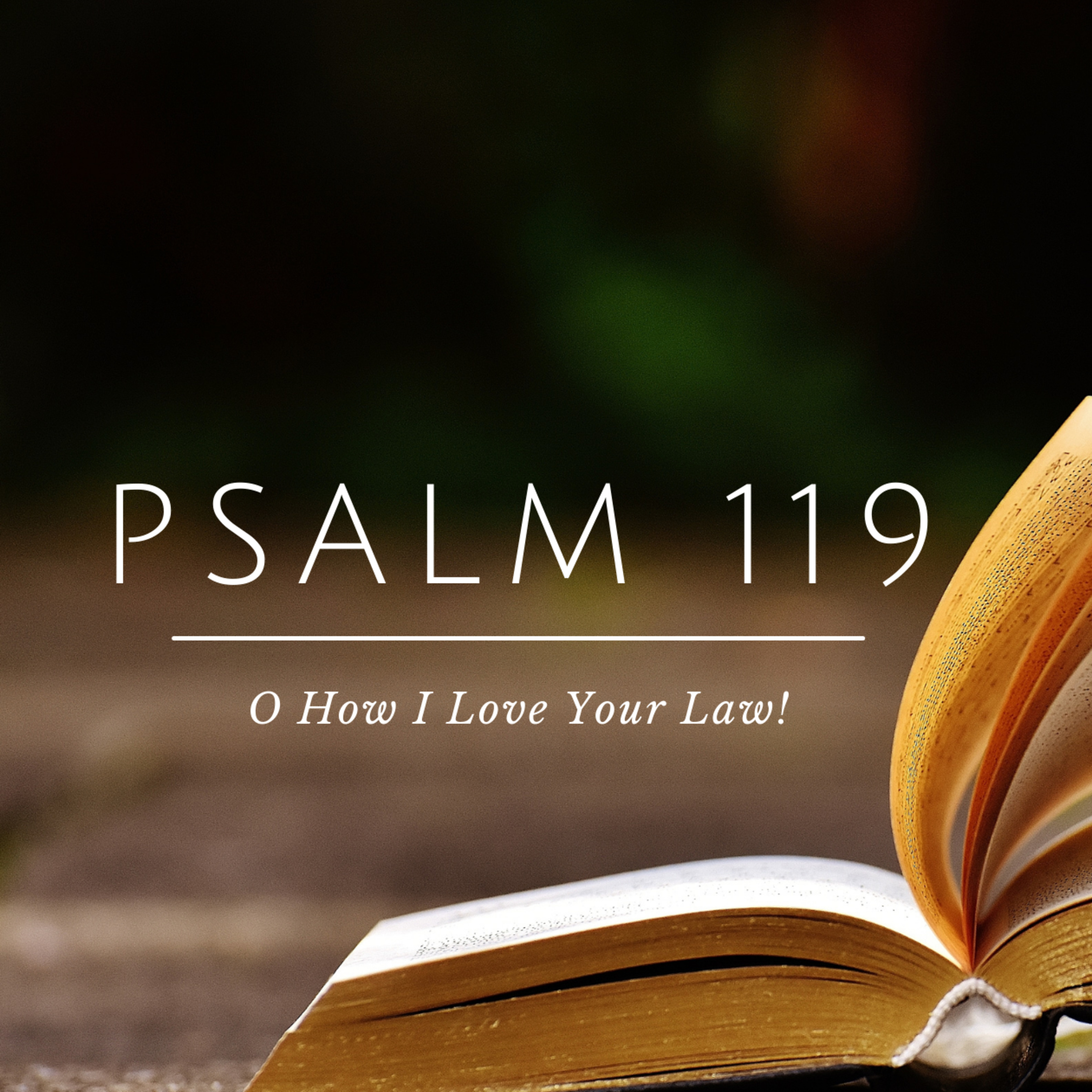 How Can a Young Man Keep His Way Pure? | Psalm 119:9 episode artwork