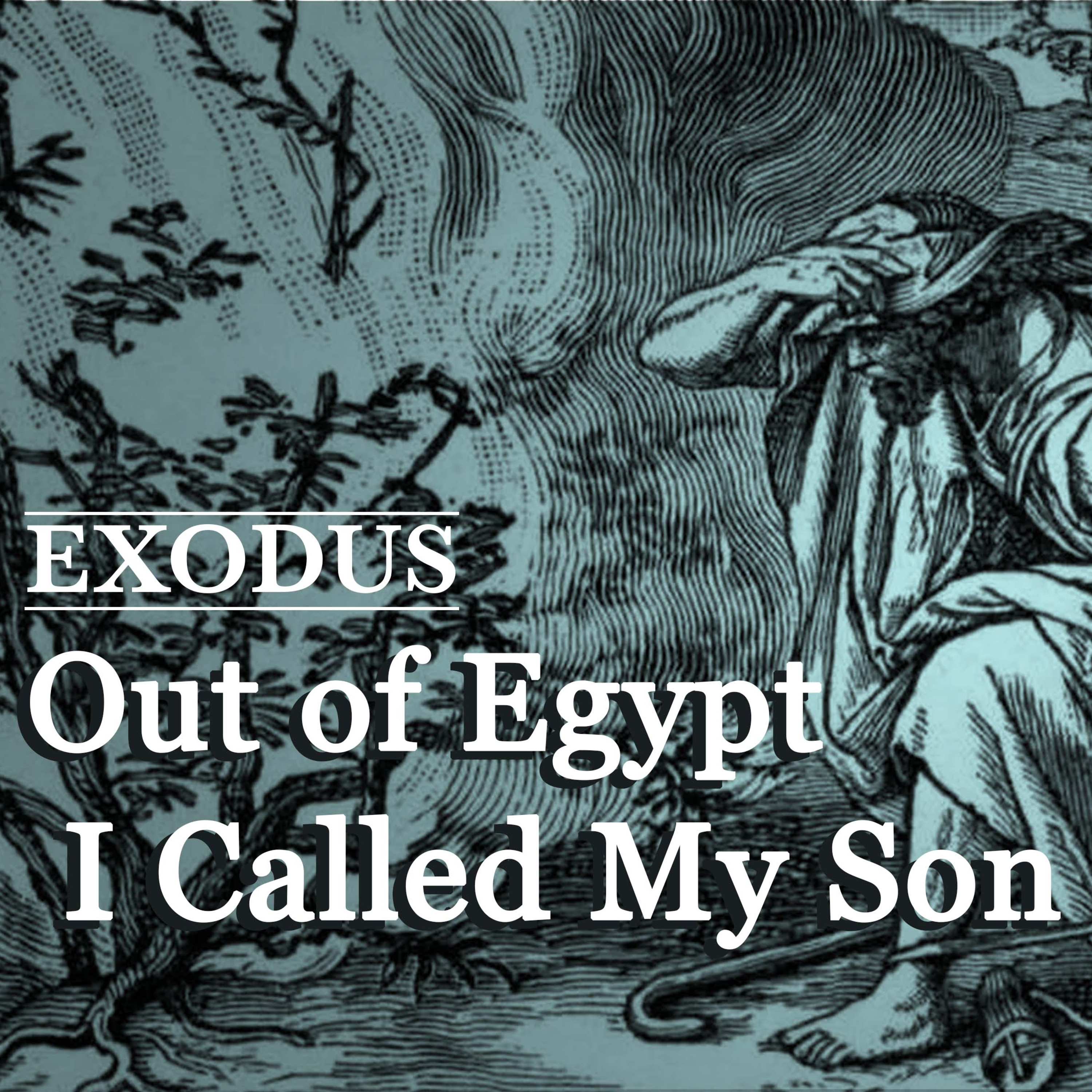 Pharaoh Will Not Listen | Exodus 6:10-7:13 episode artwork