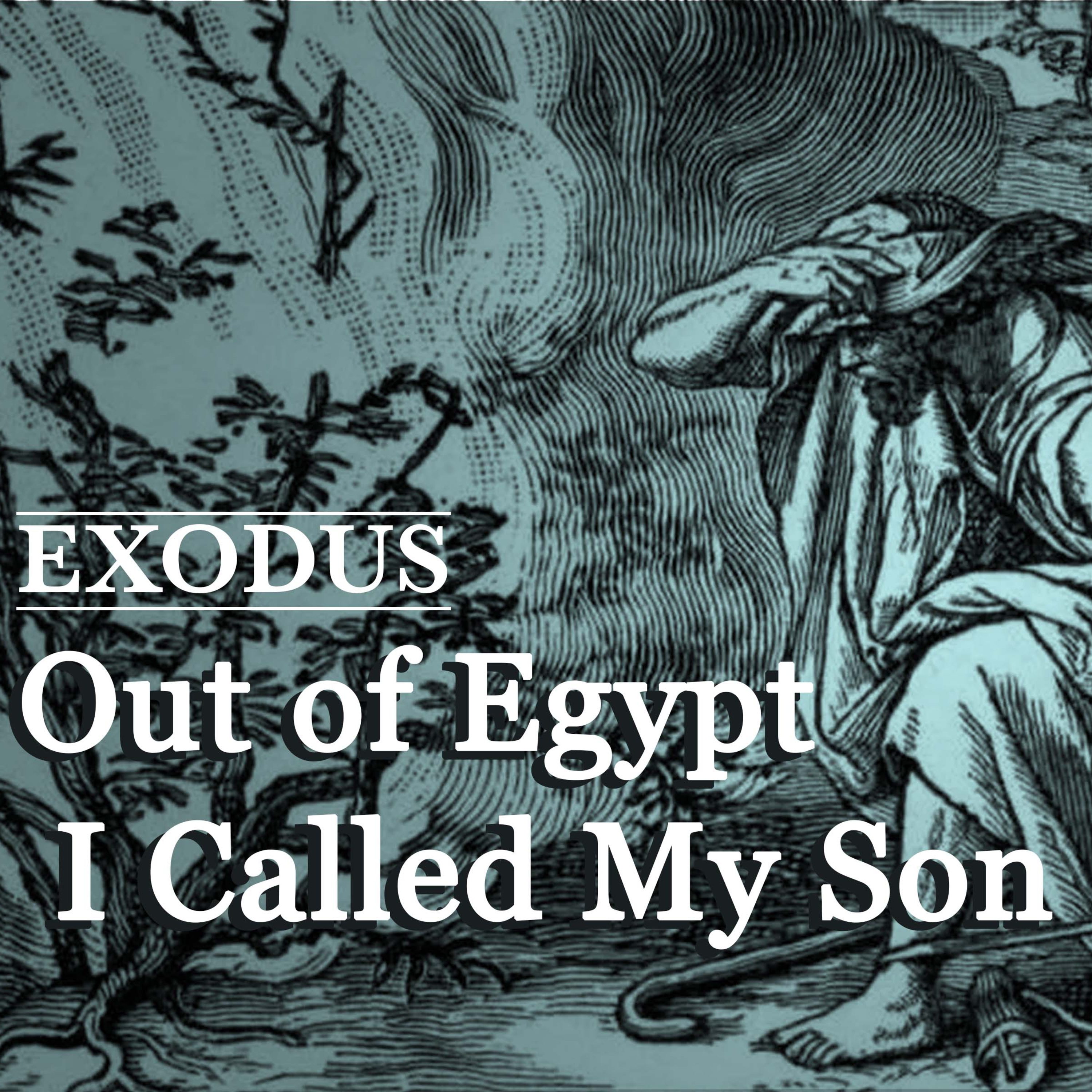 The Consecration of the Firstborn | Exodus 13:1-2, 11-16 episode artwork