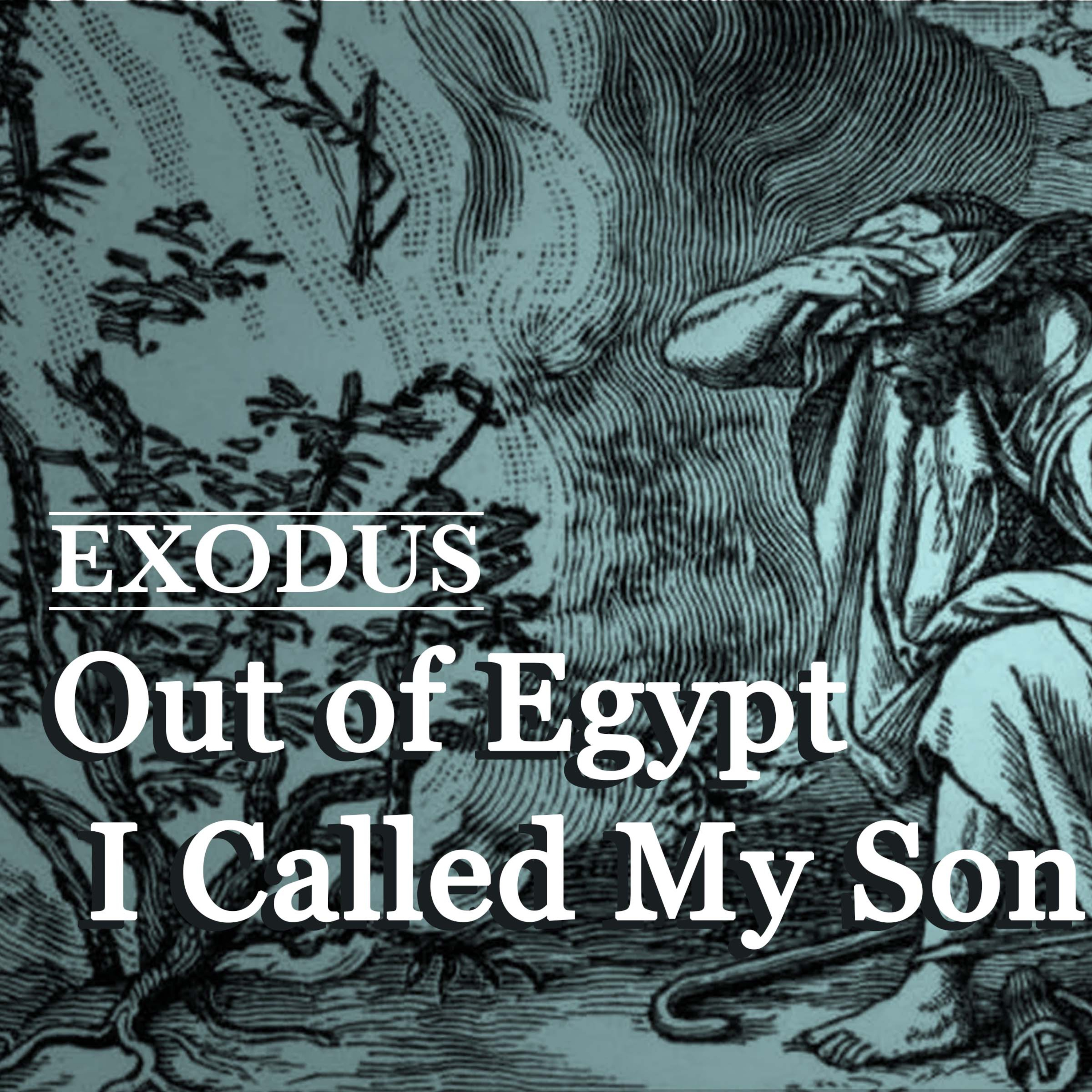 Thus the LORD Saved Israel | Exodus 14:15-31 episode artwork