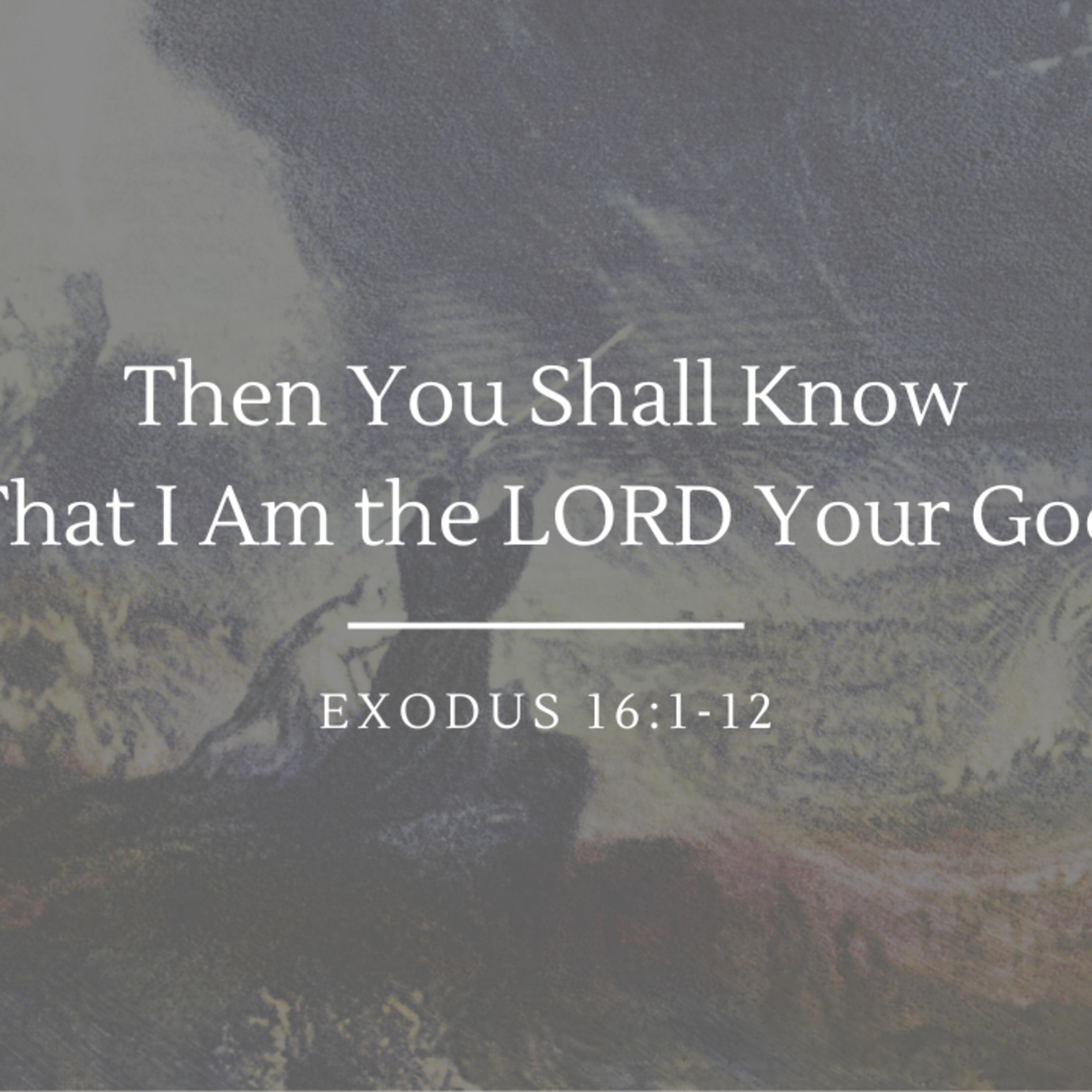 Then You Shall Know That I Am the LORD Your God | Exodus 16:1-12 episode artwork