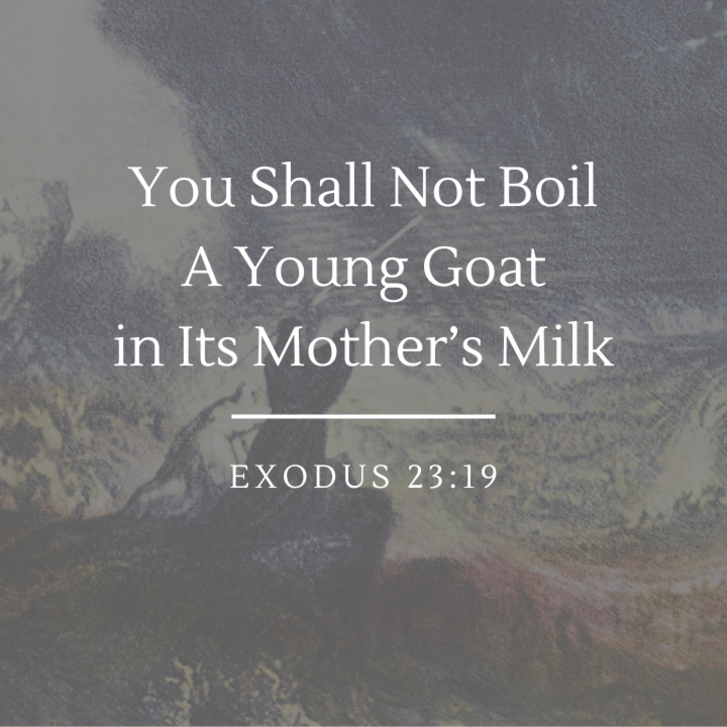 You Shall Not Boil a Young Goat in Its Mother's Milk | Exodus 23:19 episode artwork