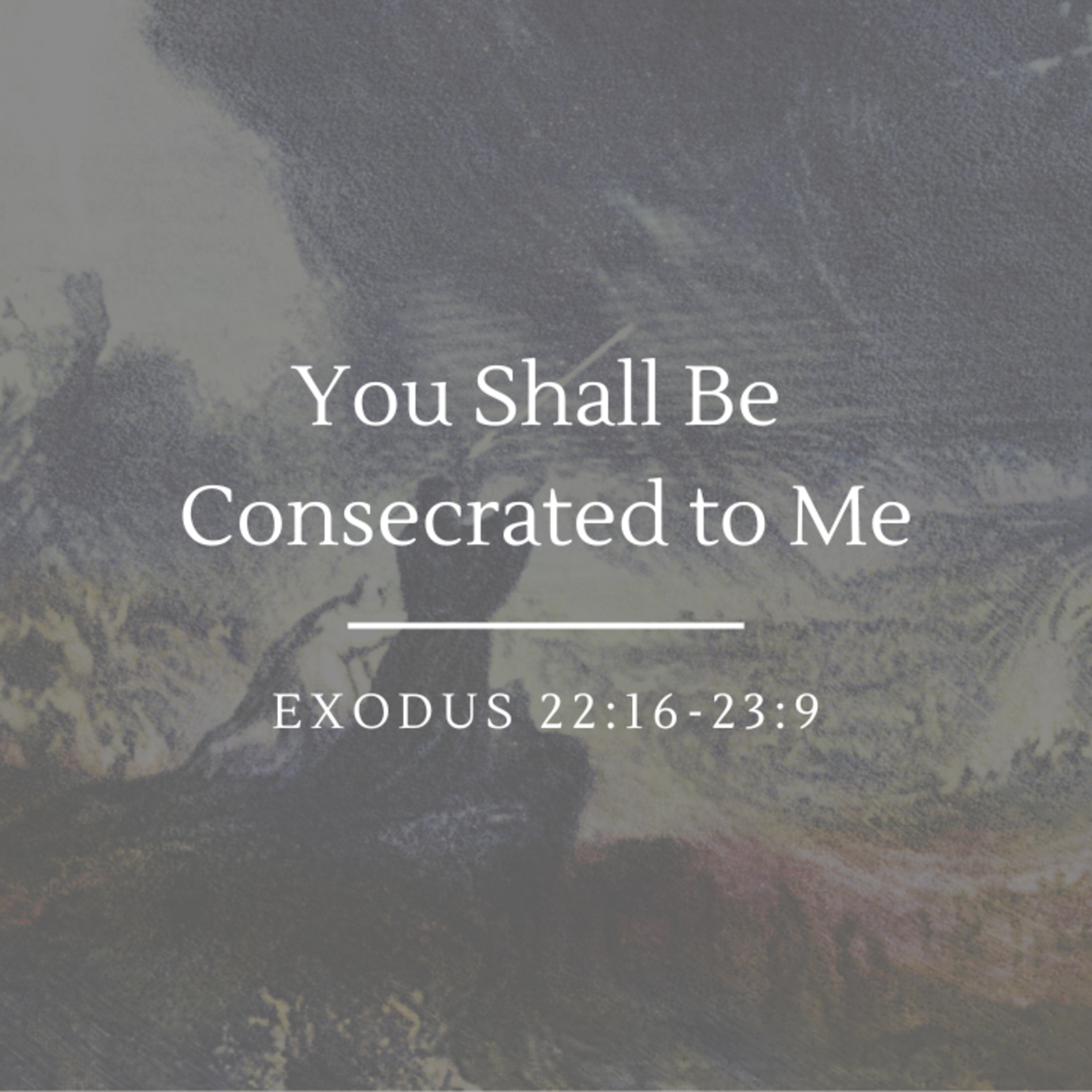 You Shall Be Consecrated to Me | Exodus 22:16-23:9 episode artwork