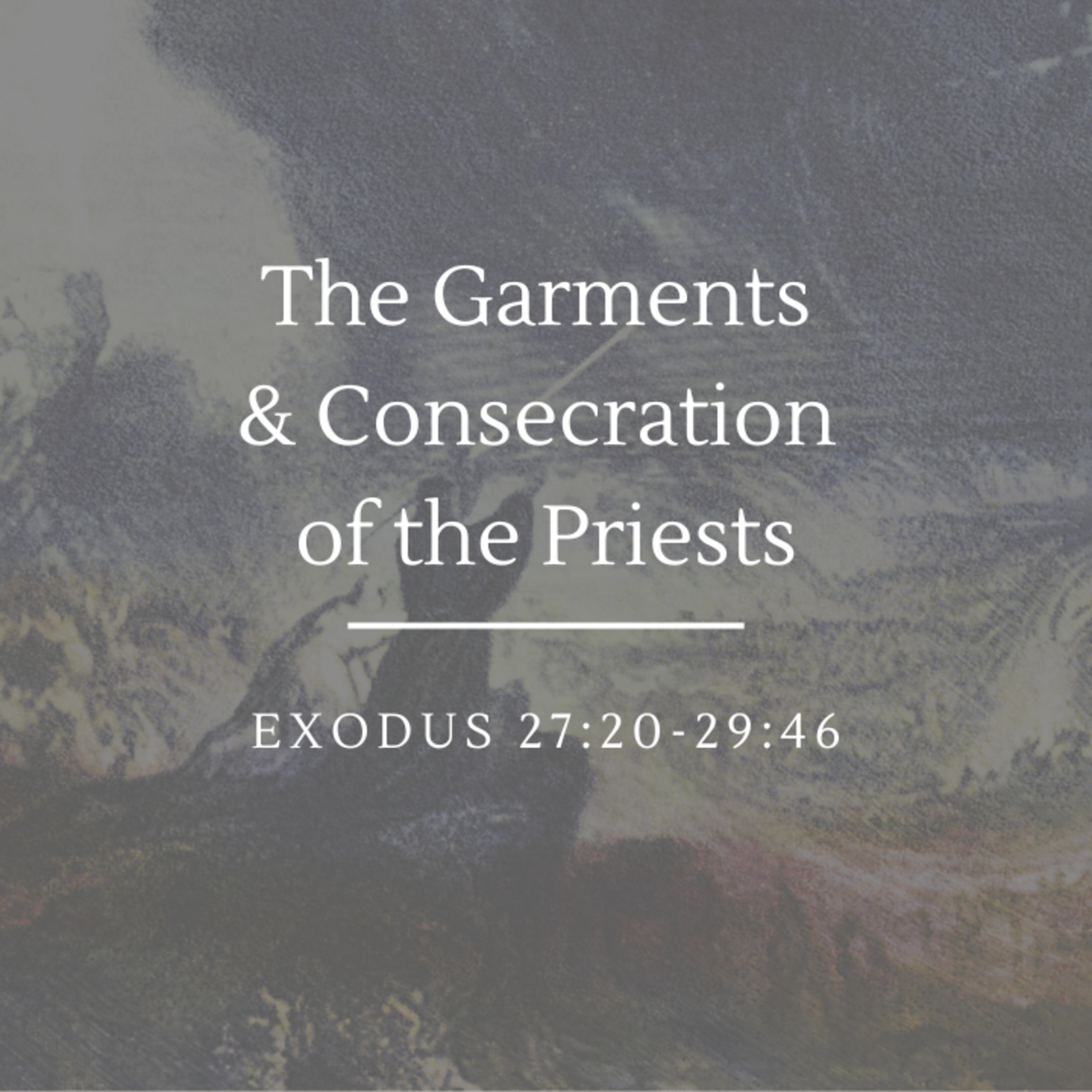 The Garments & Consecration of the Priests | Exodus 27:20-29:46 episode artwork