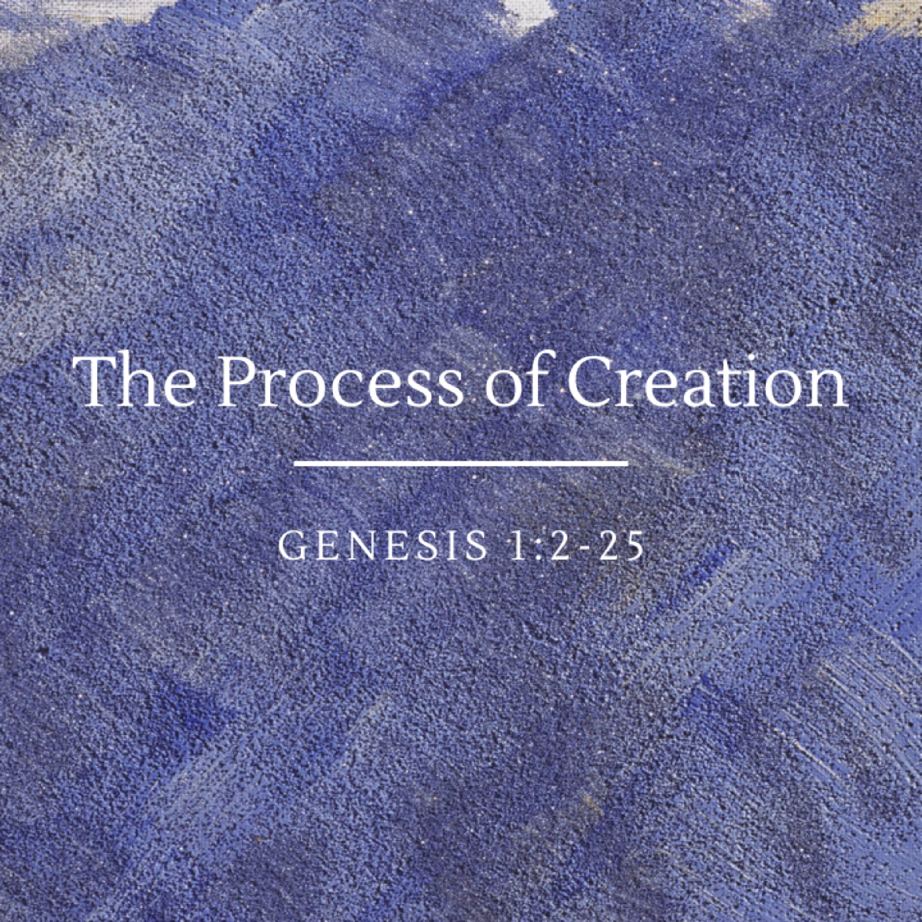 The Process of Creation | Genesis 1:2-25 episode artwork