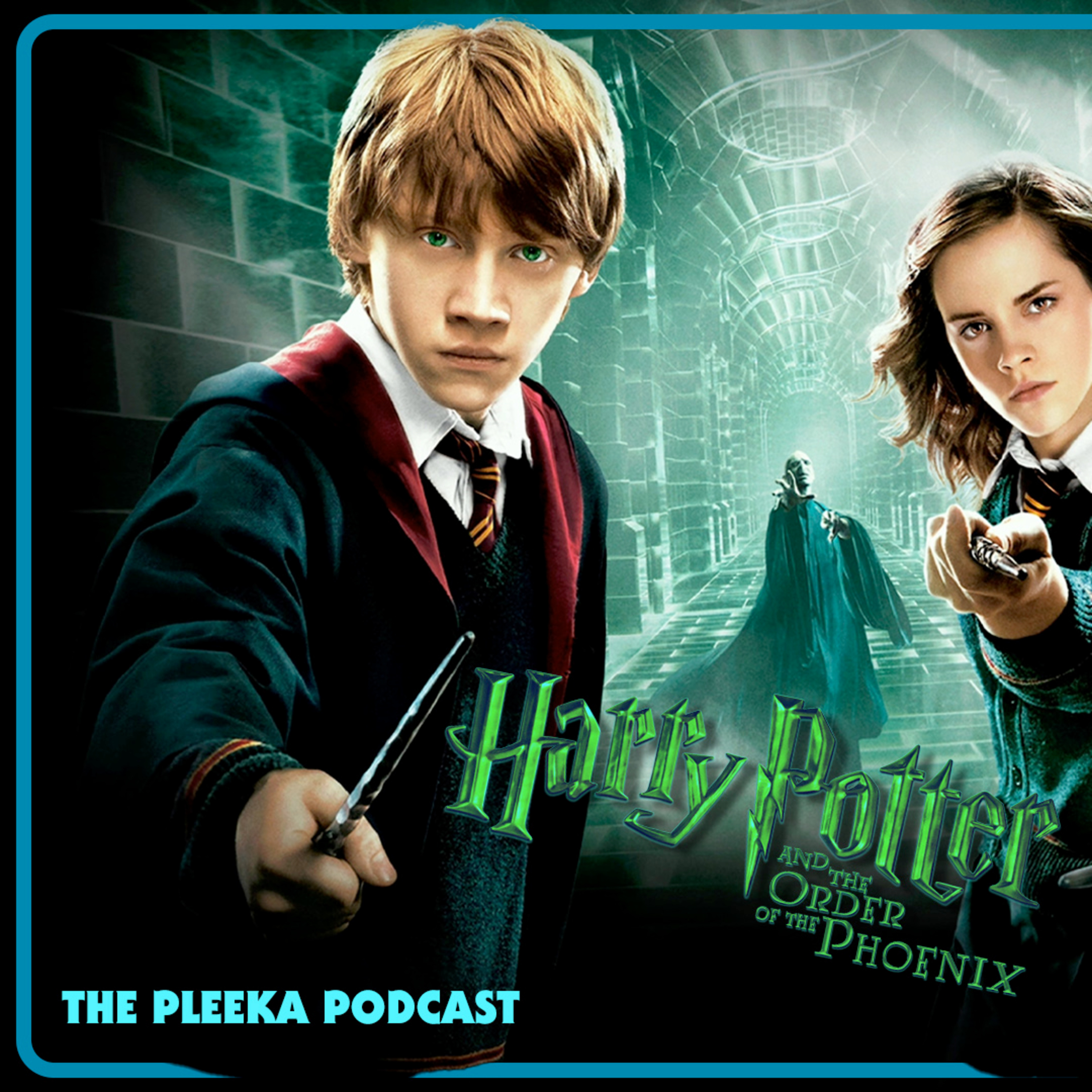 The Pleeka Podcast