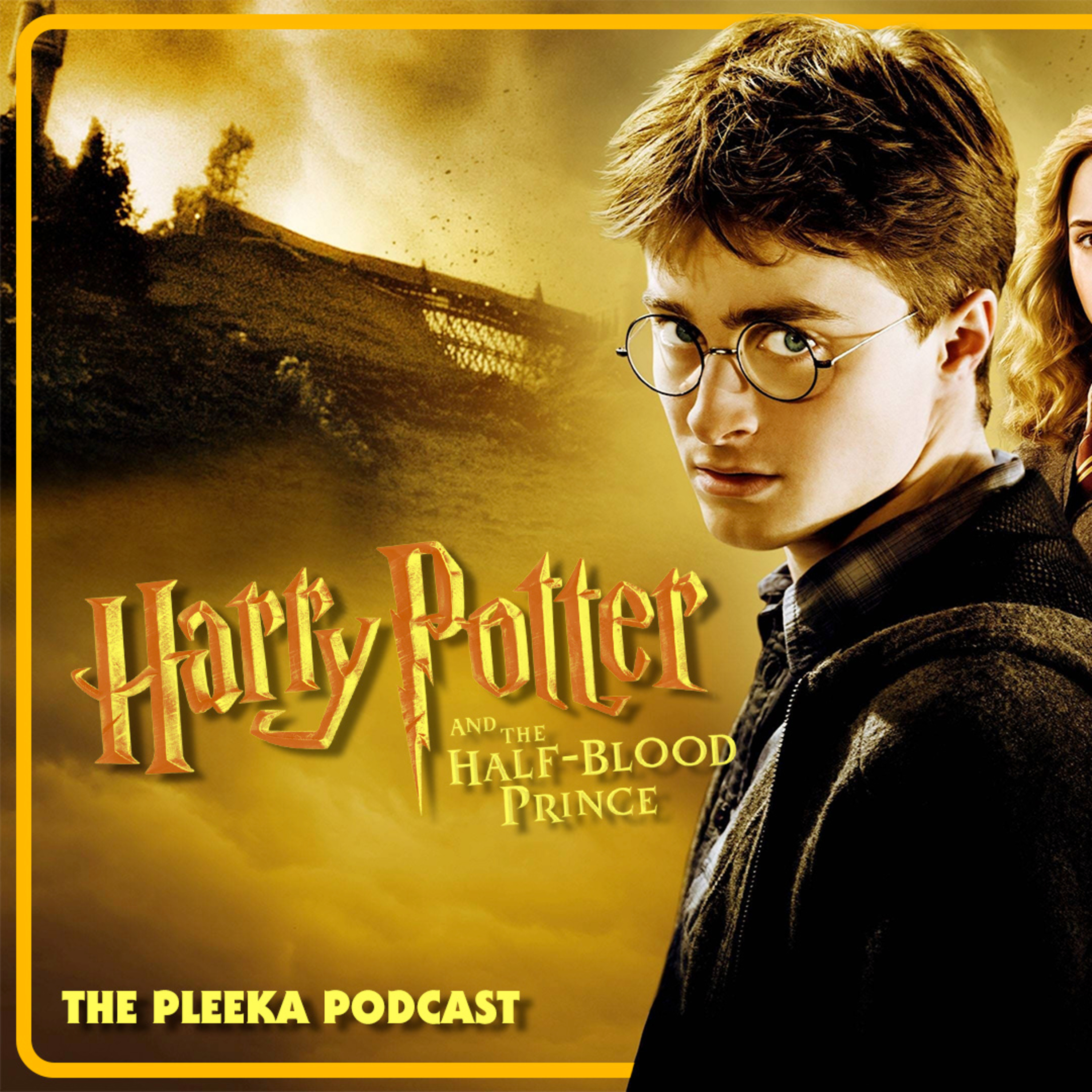 The Pleeka Podcast