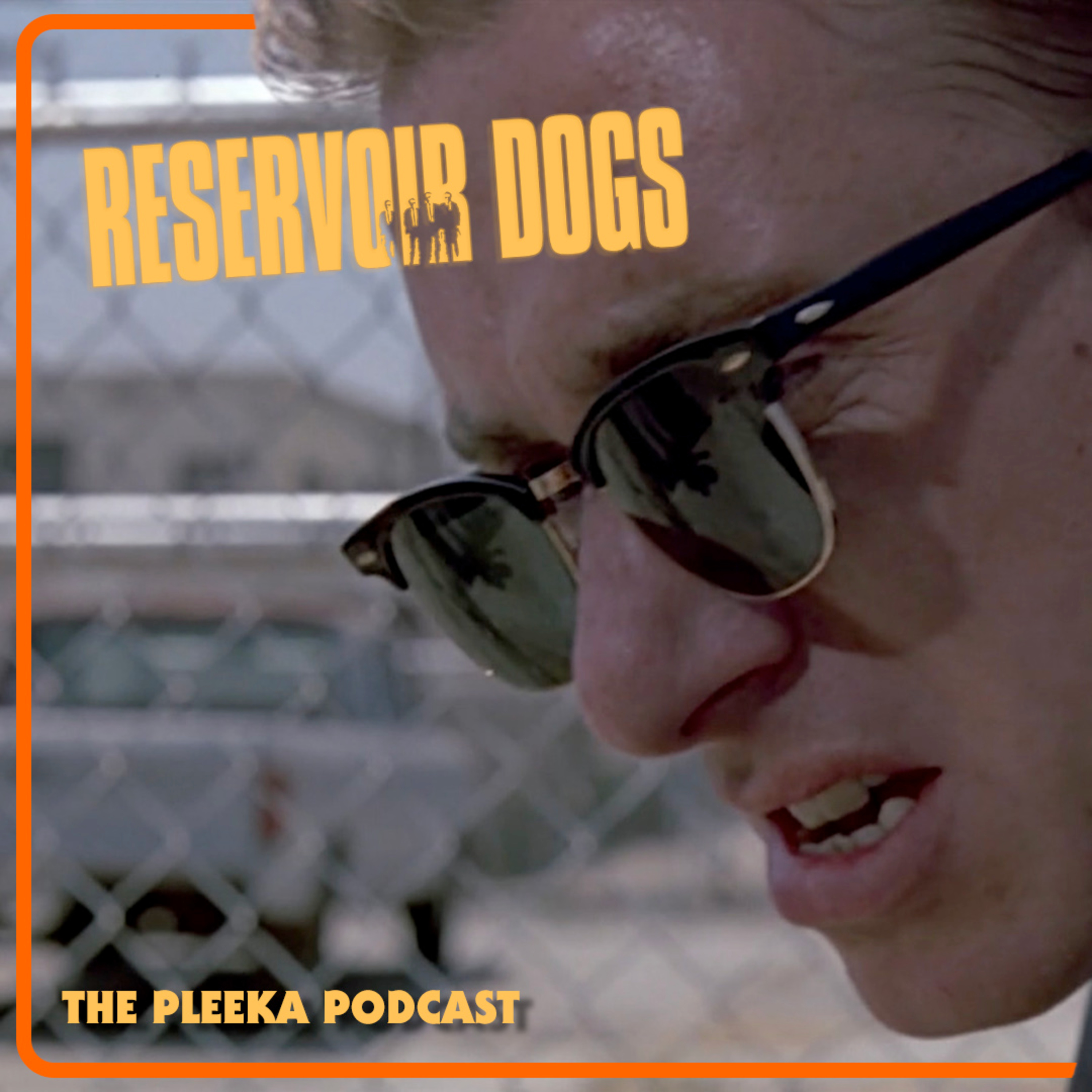 The Pleeka Podcast