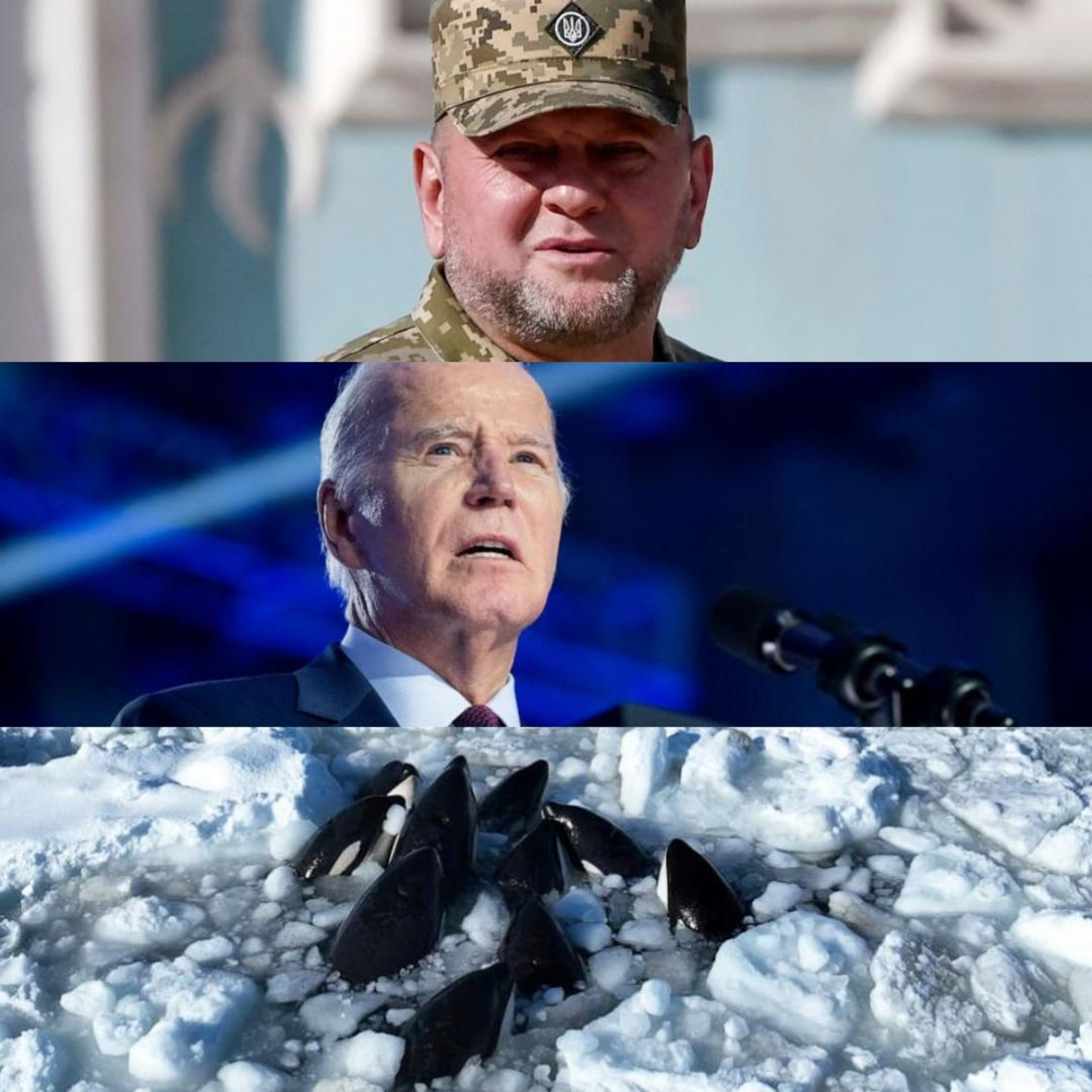 Ukraine, Biden, & Japan