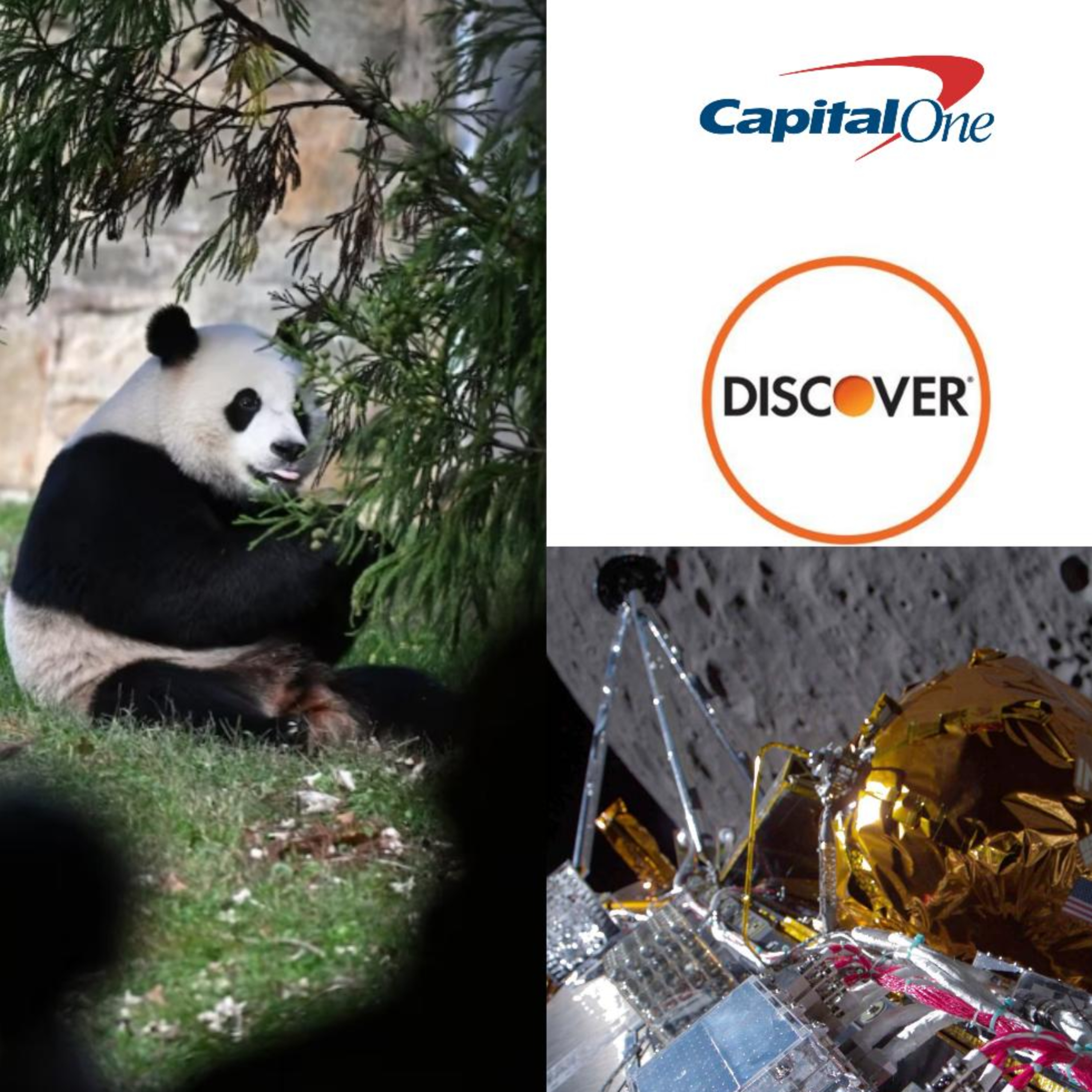 China, Capital One/Discover, & Odysseus