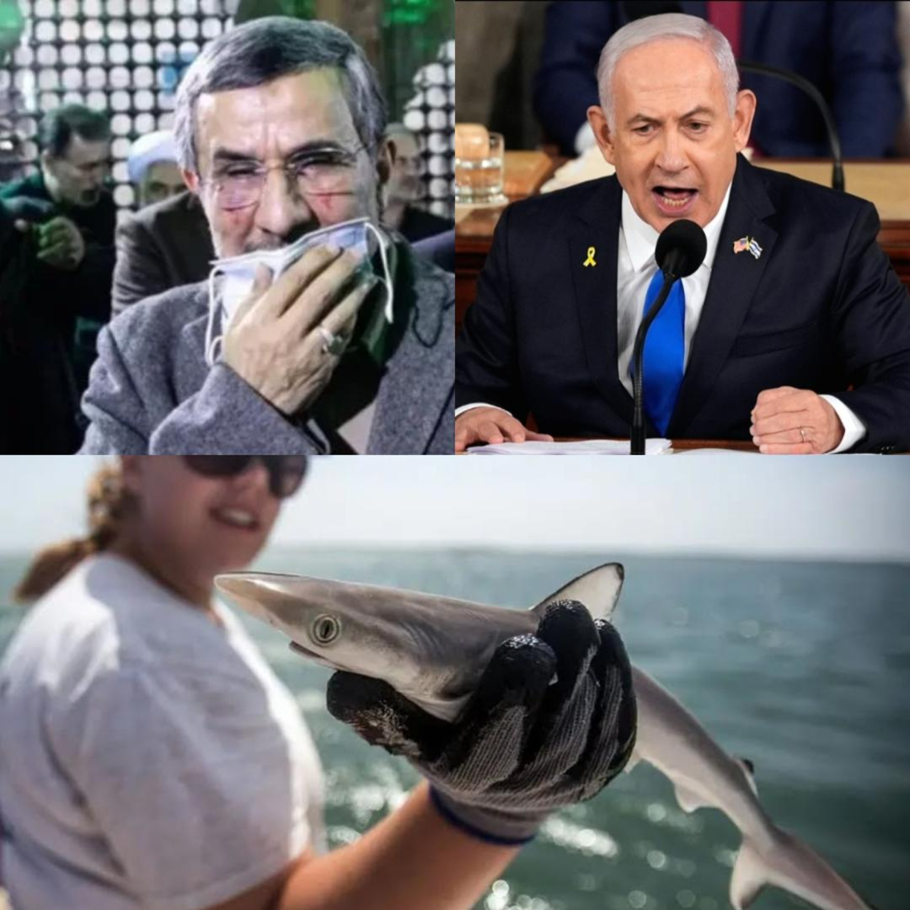 Ahmadinejad, Netanyahu, & Cocaine Sharks