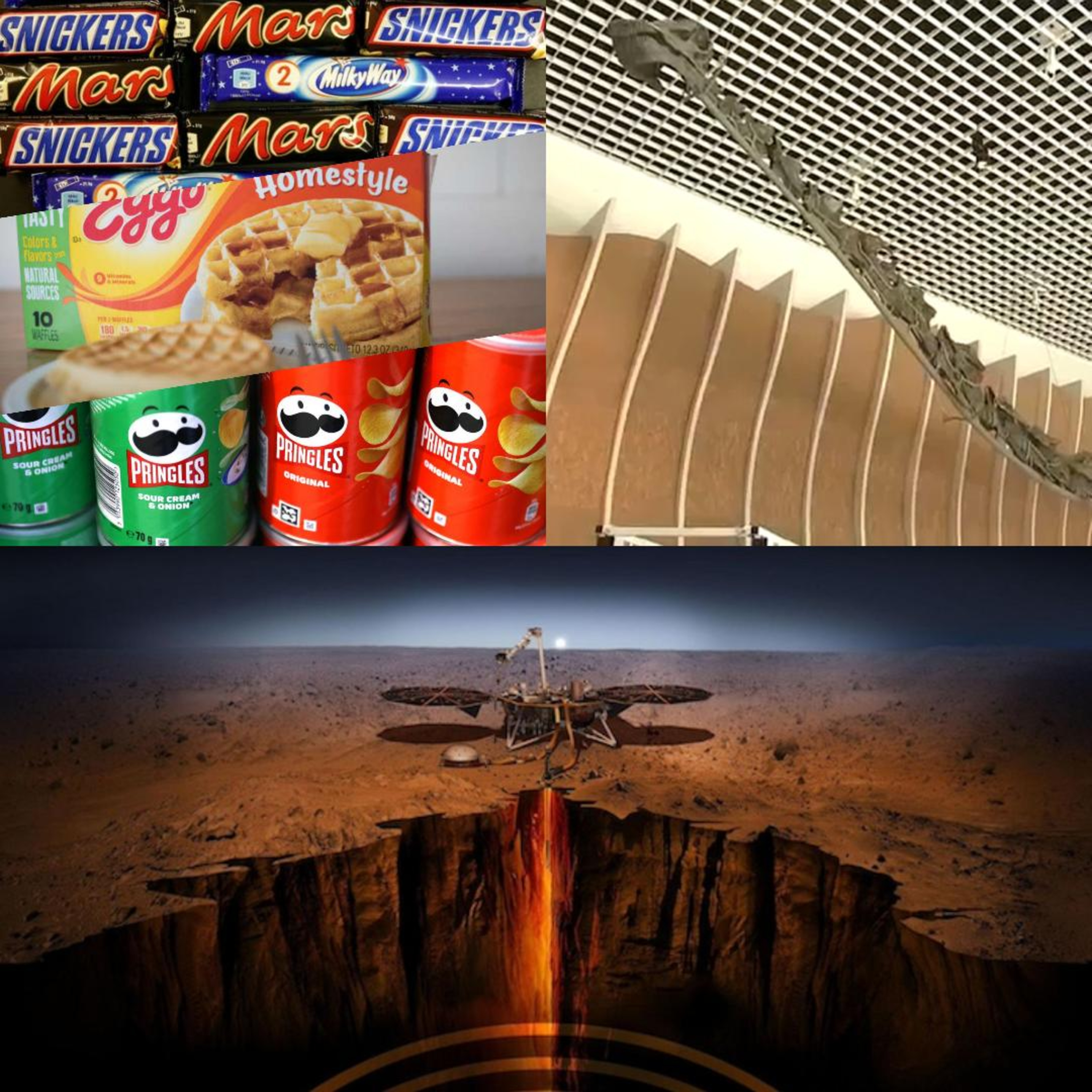 Mars, Gnatalie, & Mars