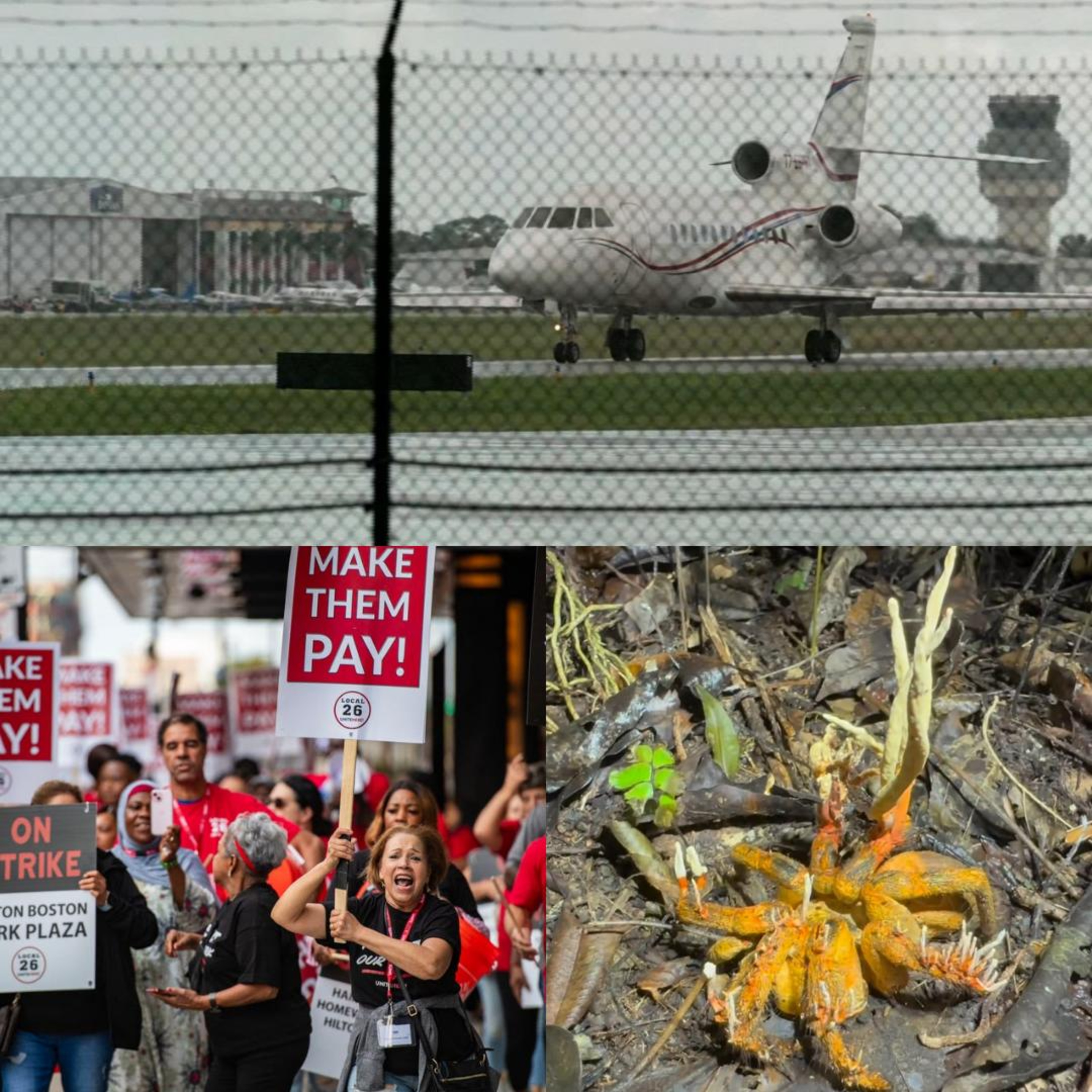 Venezuela, Hotel Workers Strike, & 