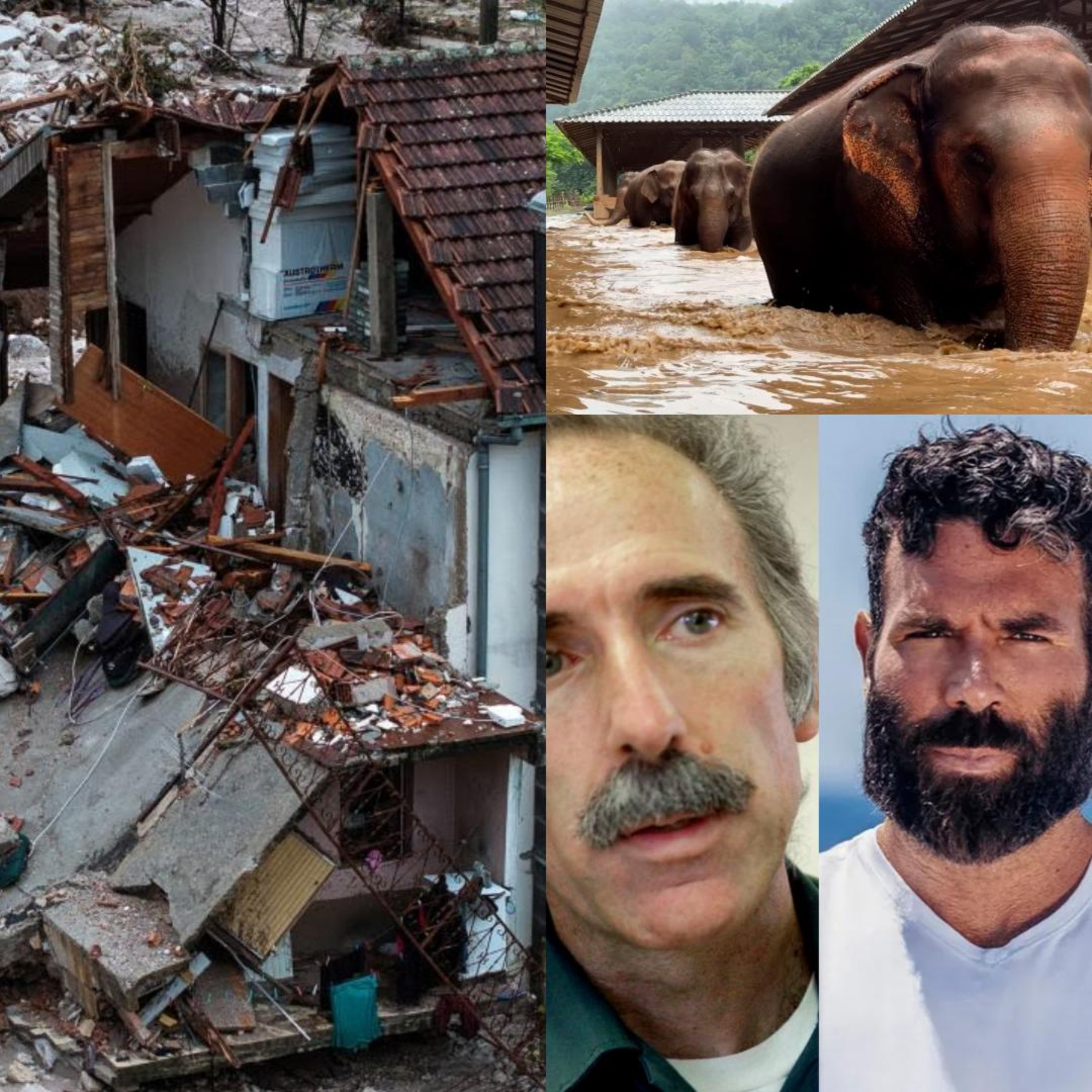 Bosnia, Thailand, & Bilzerian