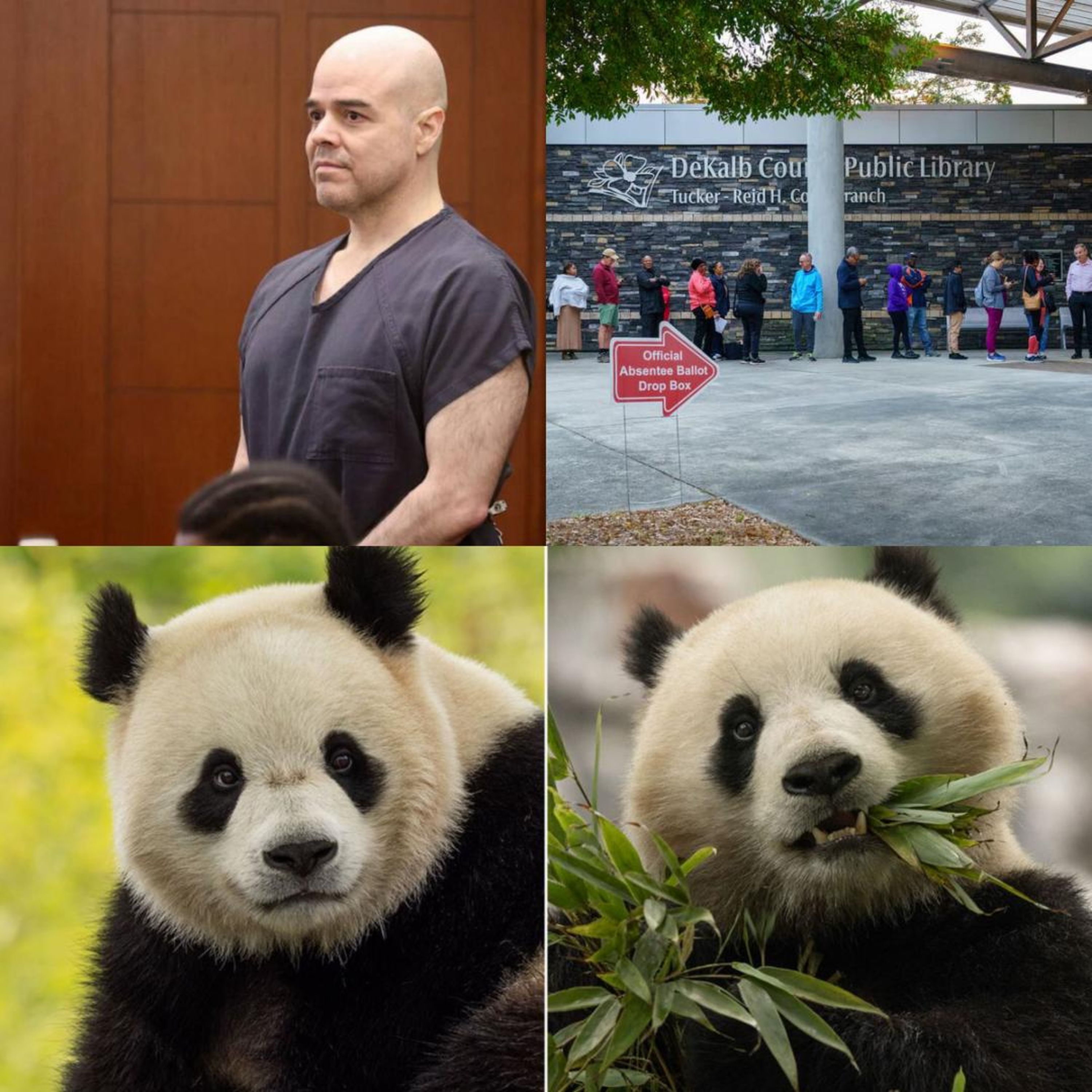 Telles, Georgia, & Bao Li/Qing Bao