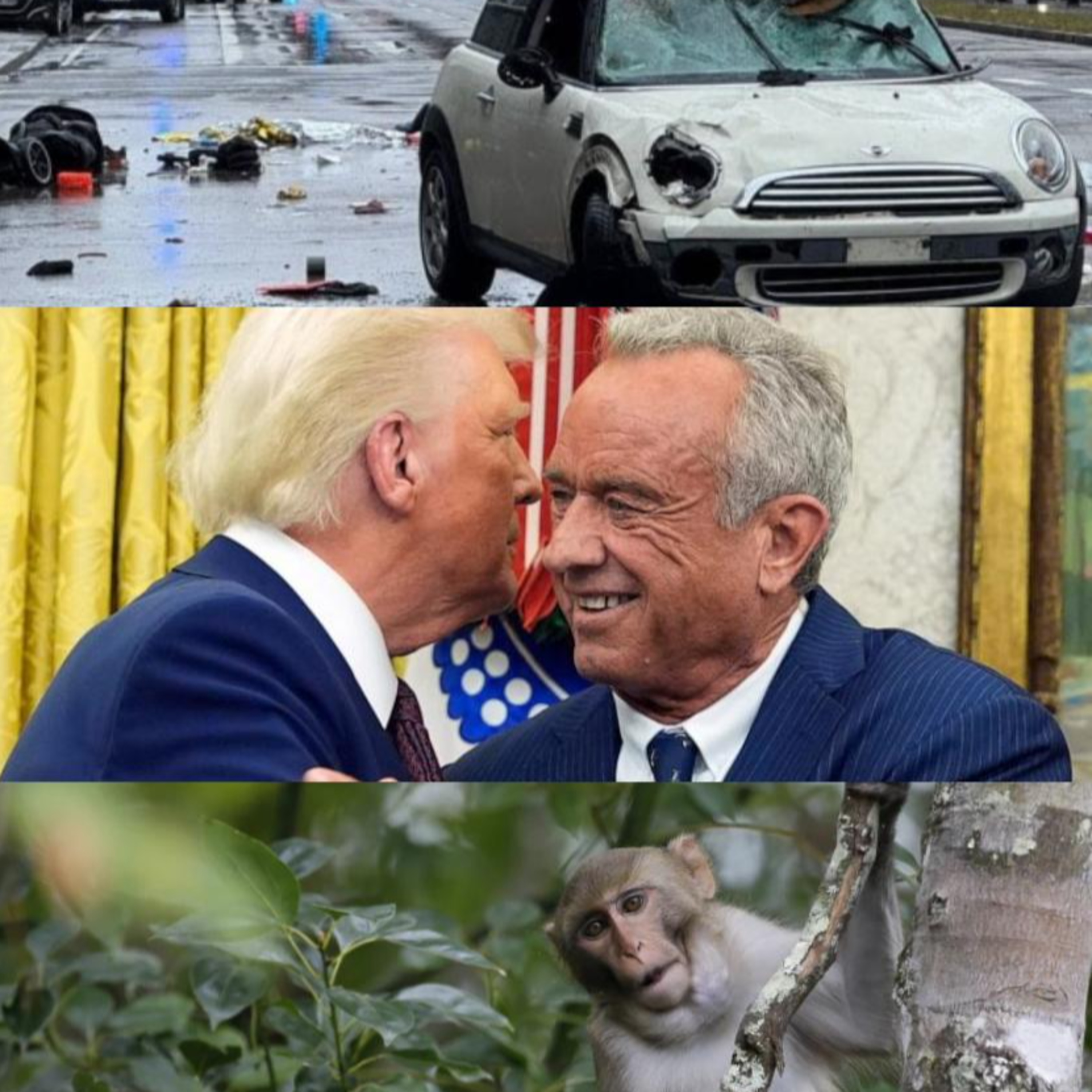 Germany, RFK Jr., & South Carolina