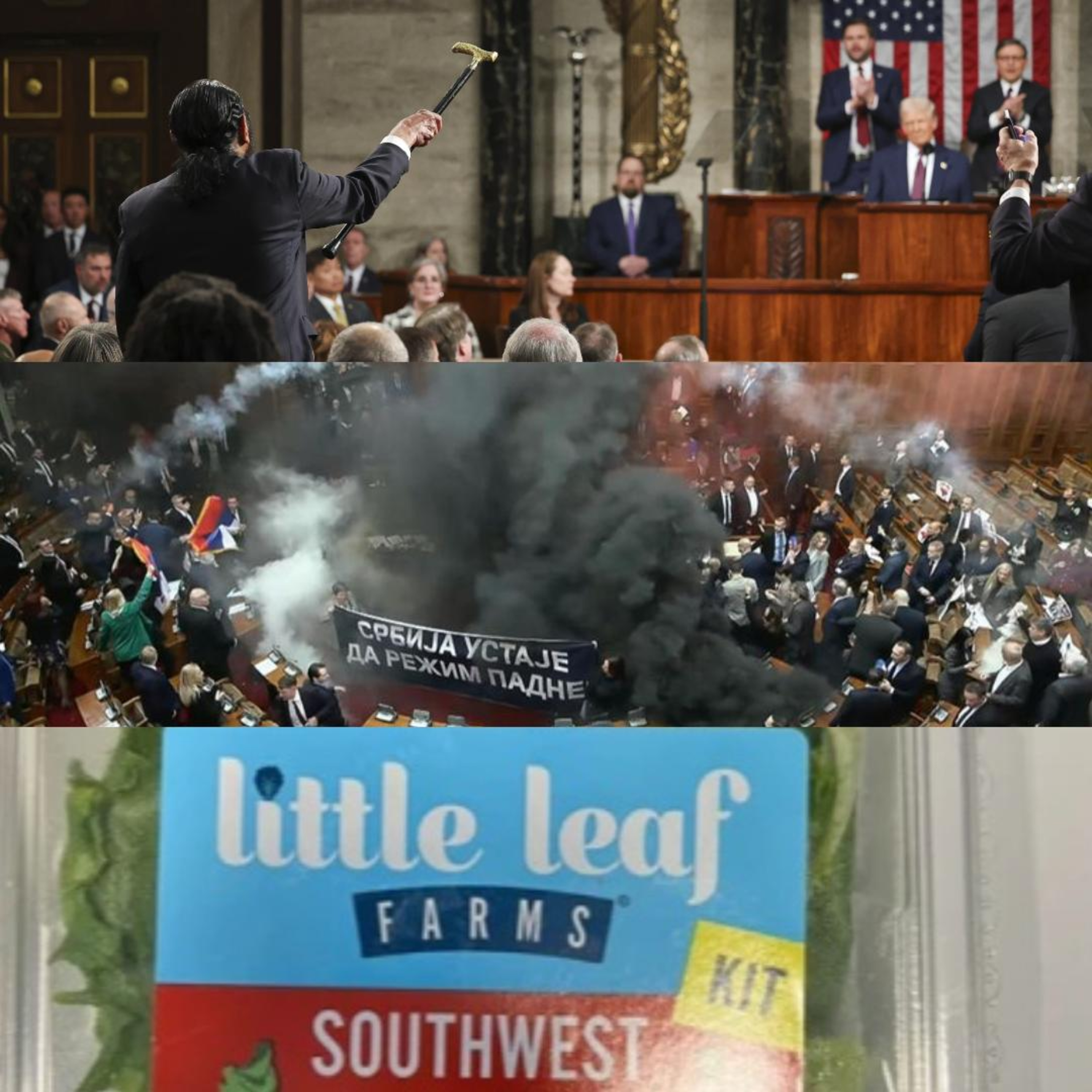 Trump, Serbia, & Little Leaf Farms