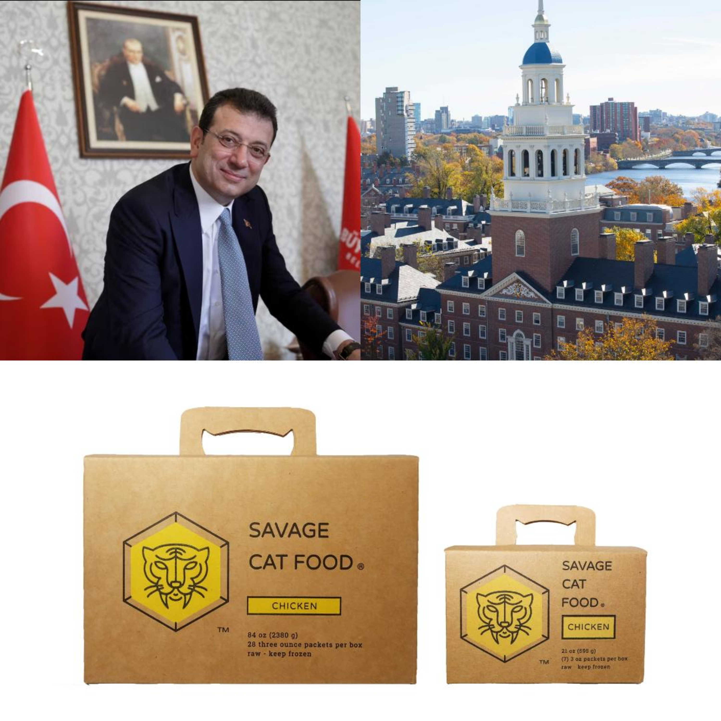 Imamoglu, Harvard, & Savage Cat Food