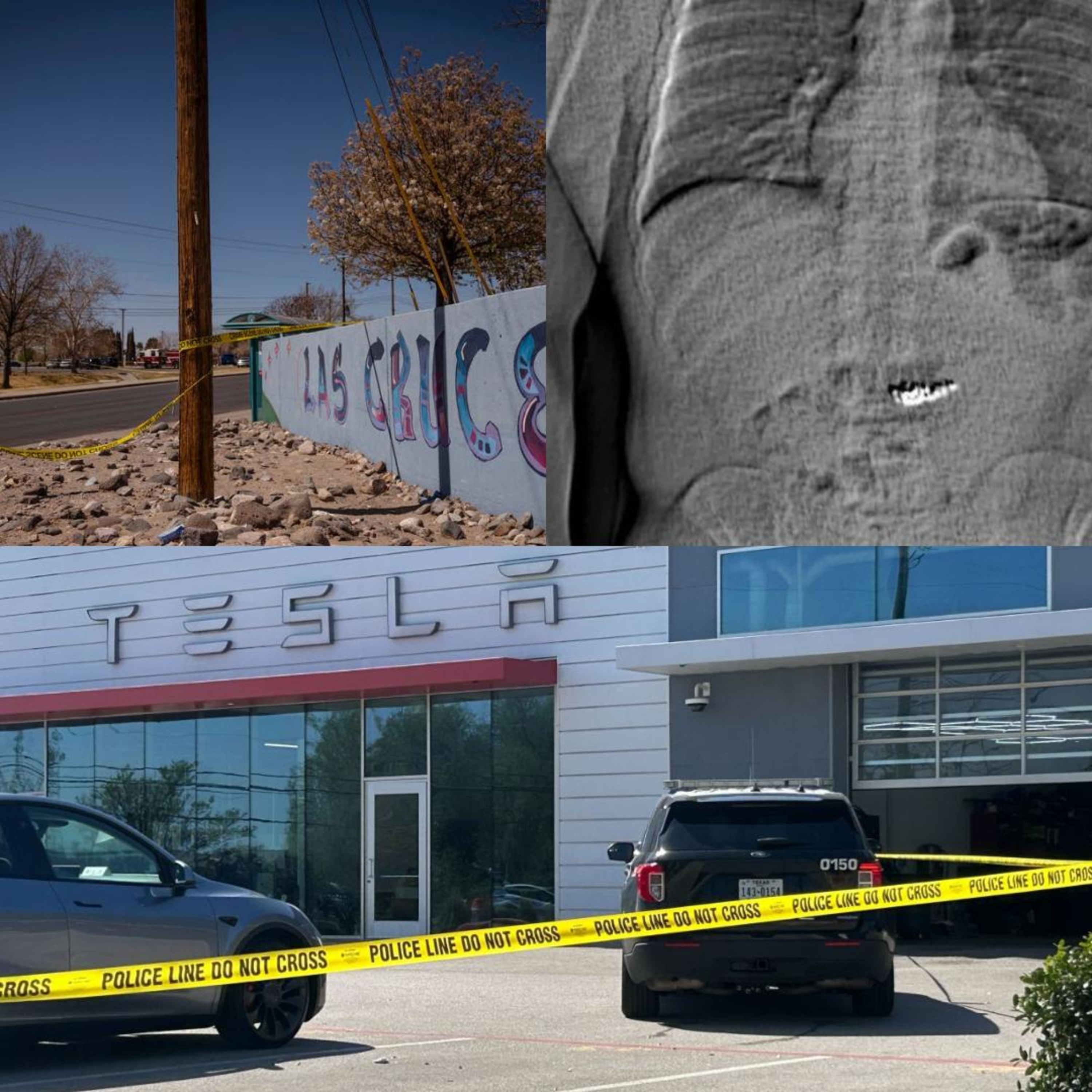 New Mexico, Tiffany & Co., & Tesla
