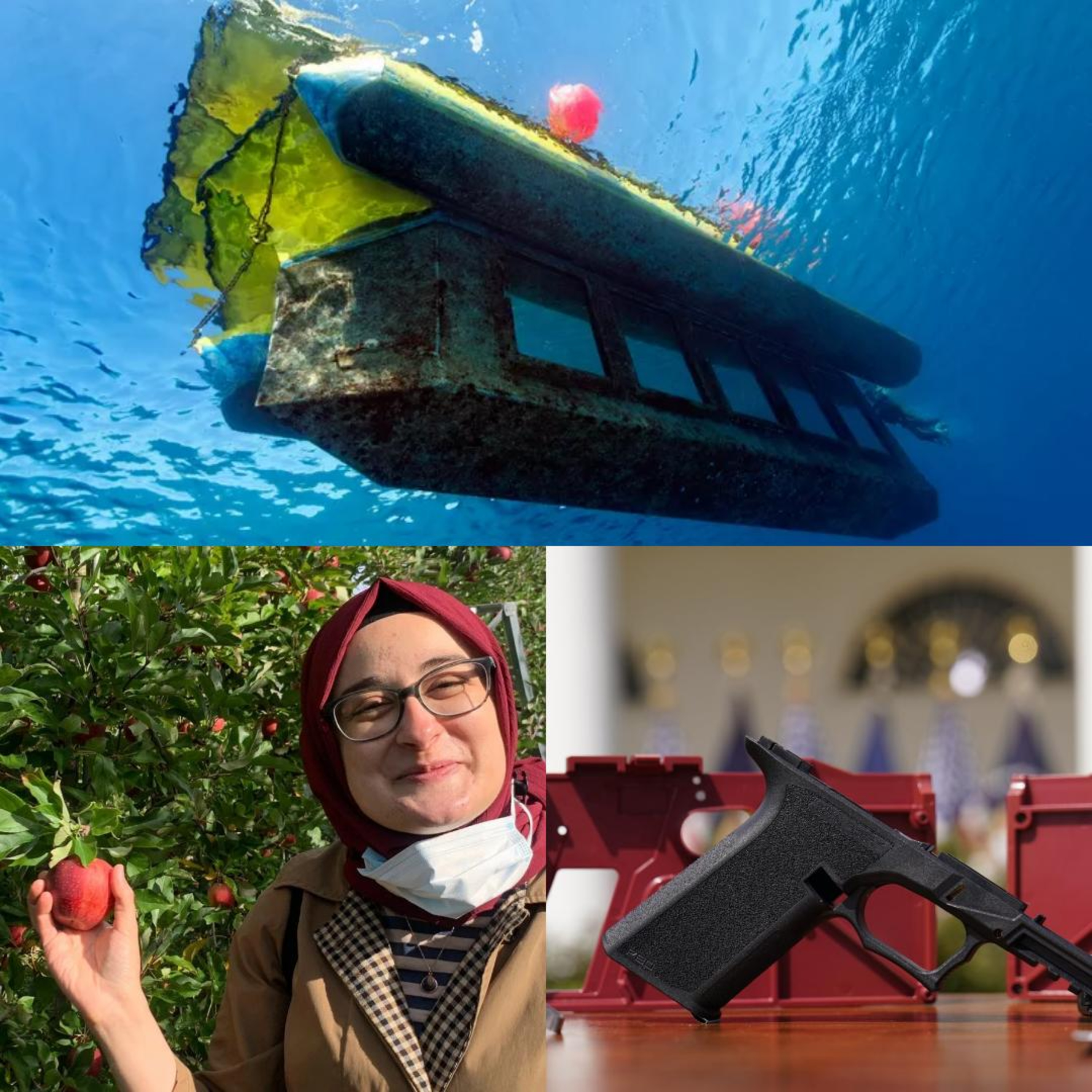 Sinbad, Ozturk, & Ghost Guns