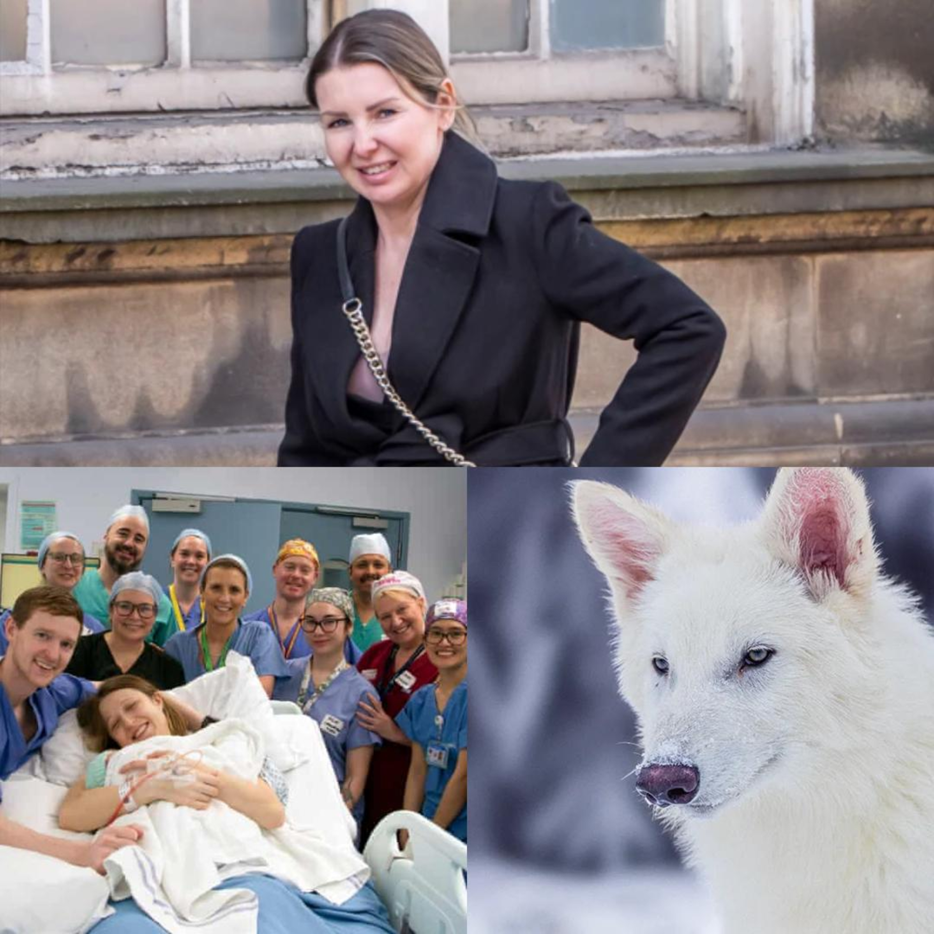 Pegg, UK, & Dire Wolves