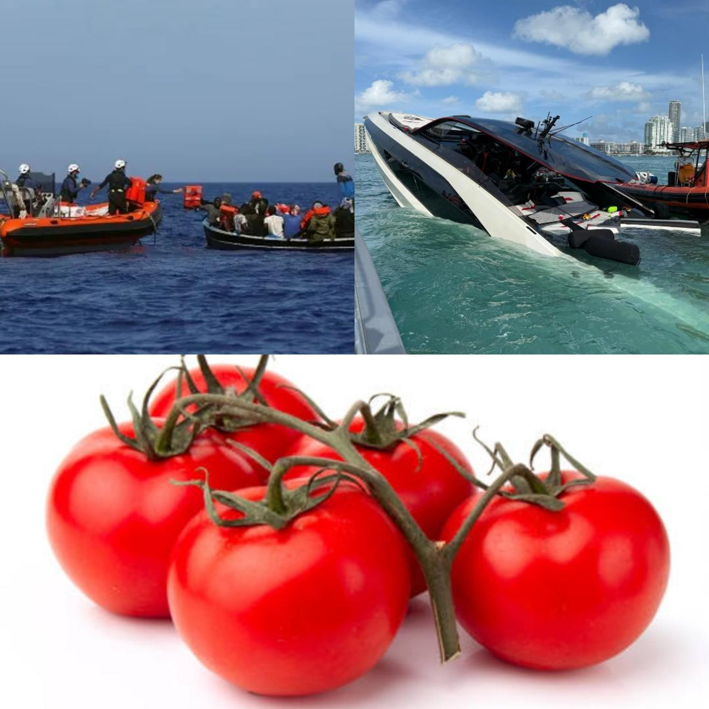 China, Florida, & Tomatoes