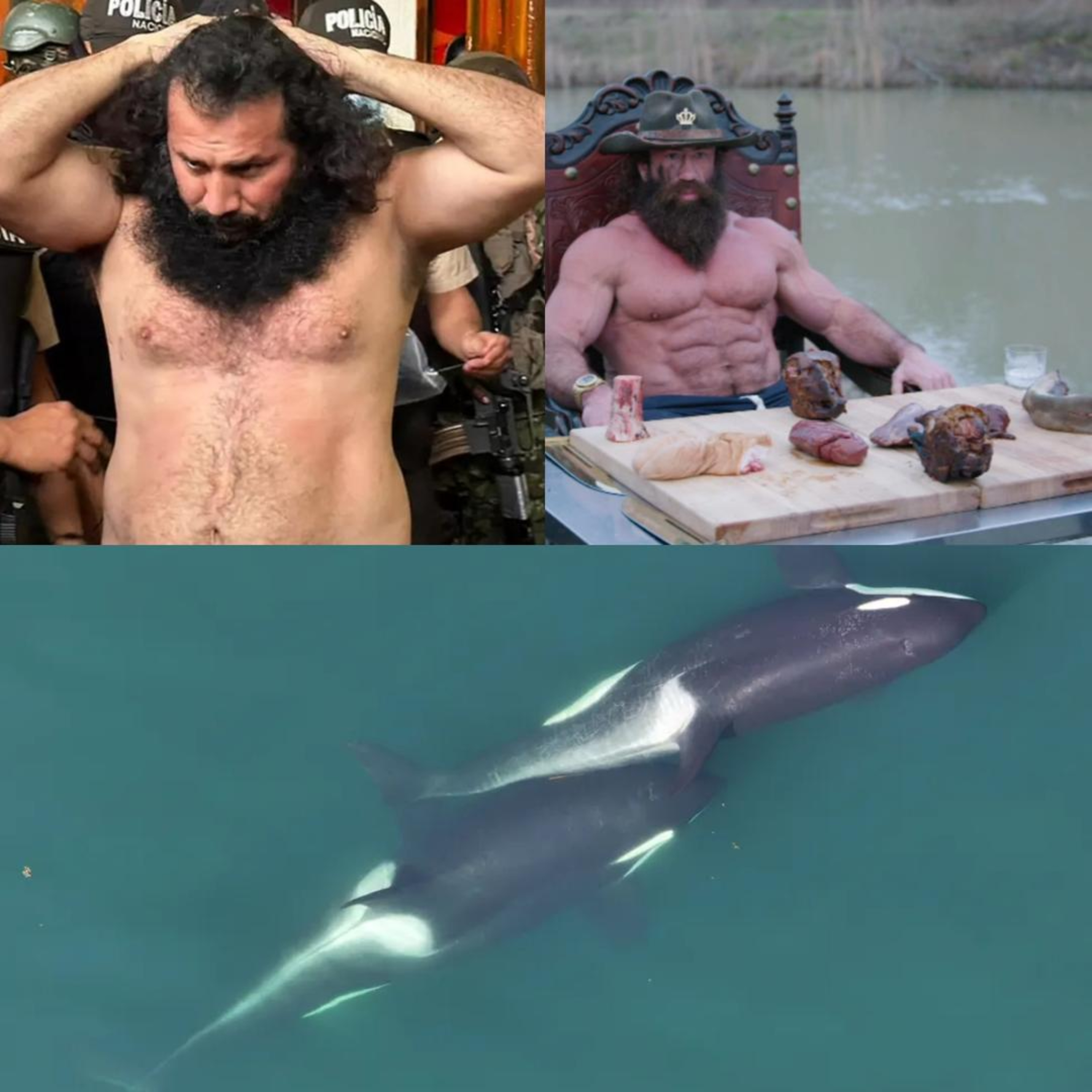 Fito, Liver King, & Orcas