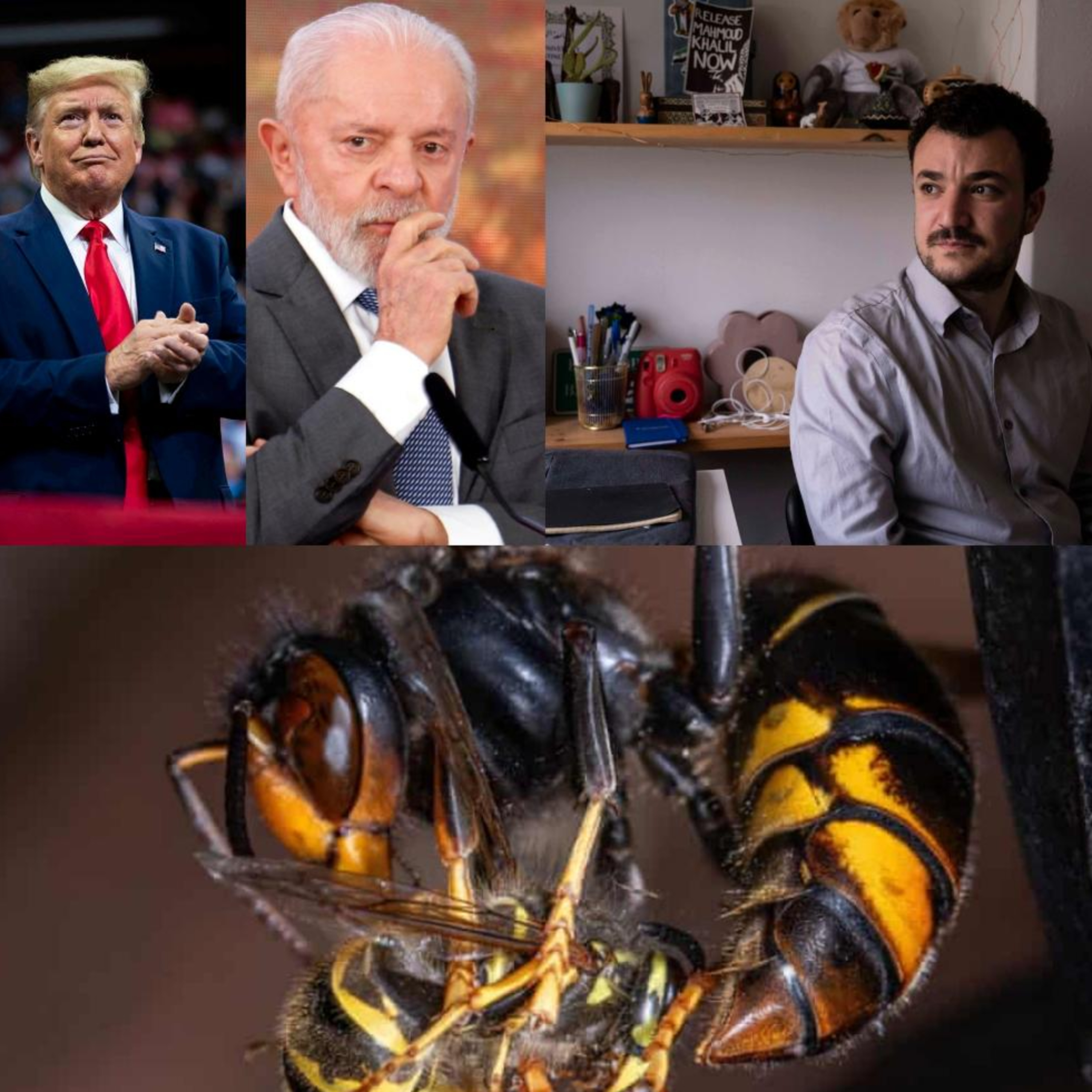 US/Brazil, Khalil, & Hornets/Bees