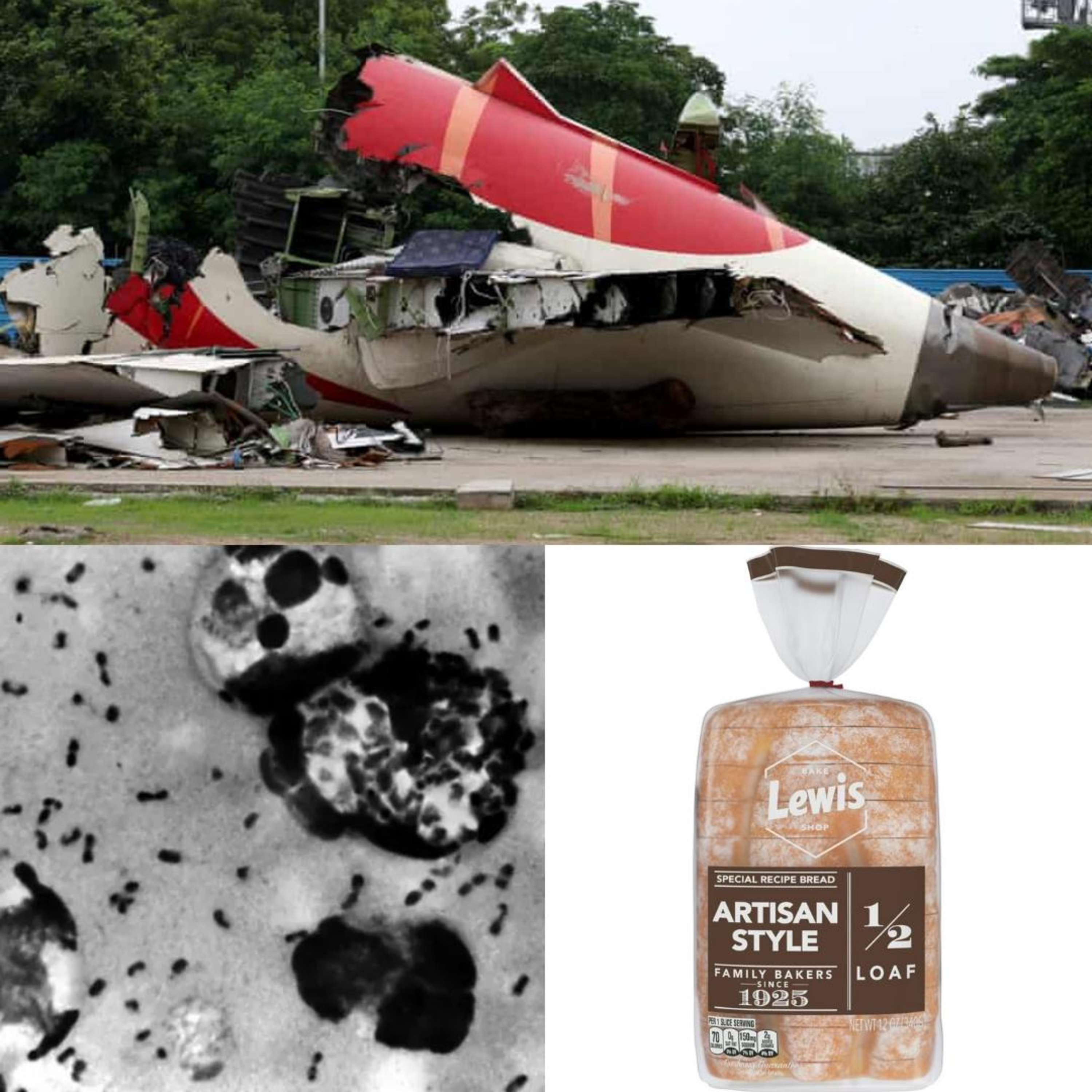 Air India, Bubonic Plague, & Lewis Bake Shop