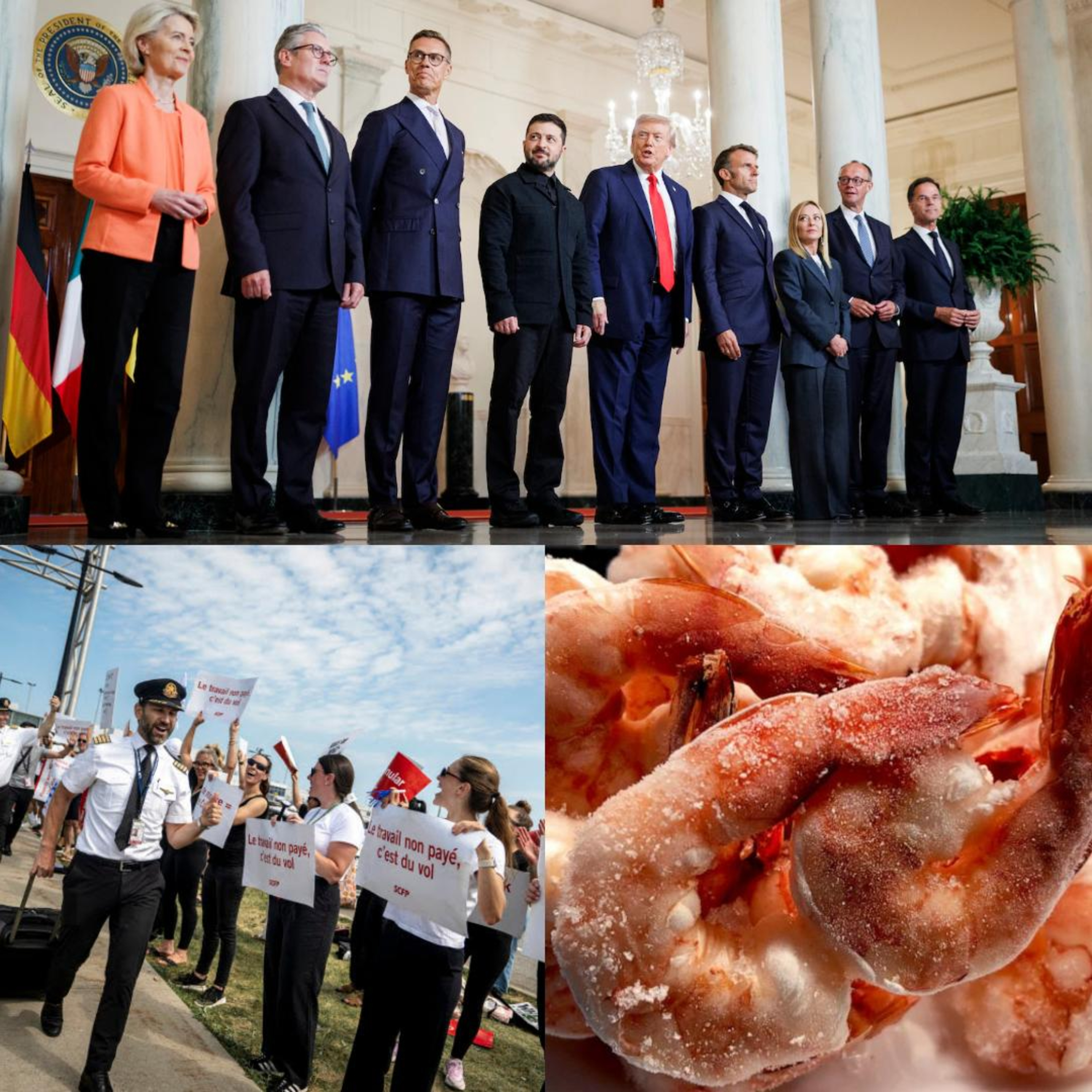 Trump/Europe, Air Canada, & Shrimp