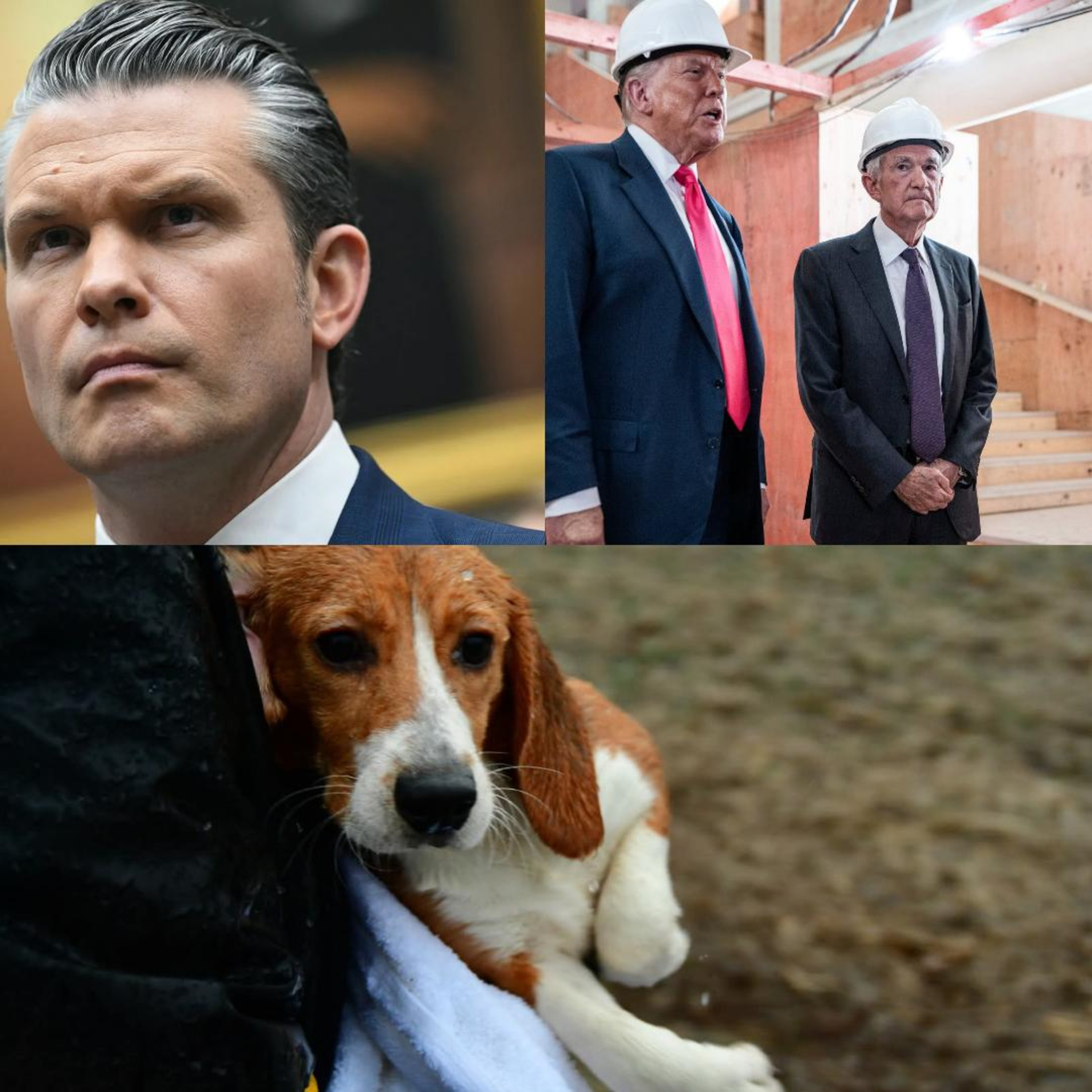 Hegseth, Powell, & Wisconsin episode artwork