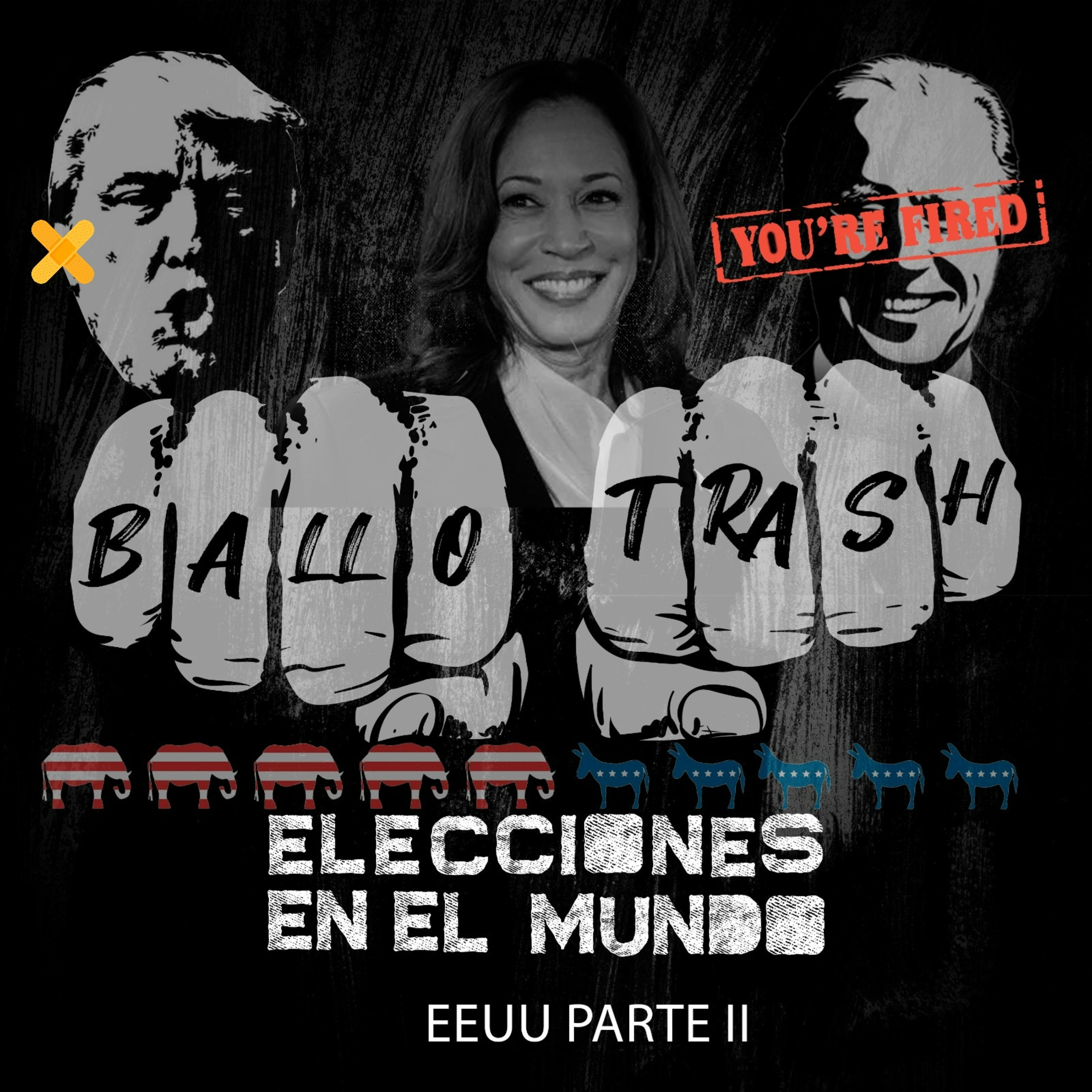 Ballotrash, elecciones en el mundo
