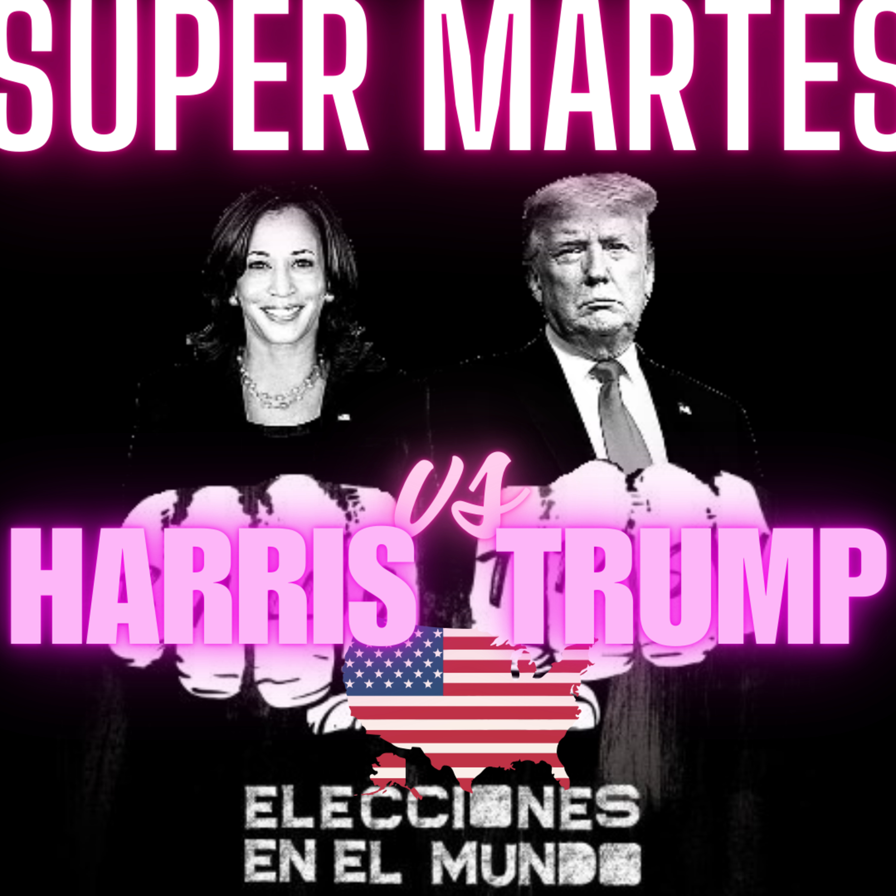Ballotrash, elecciones en el mundo