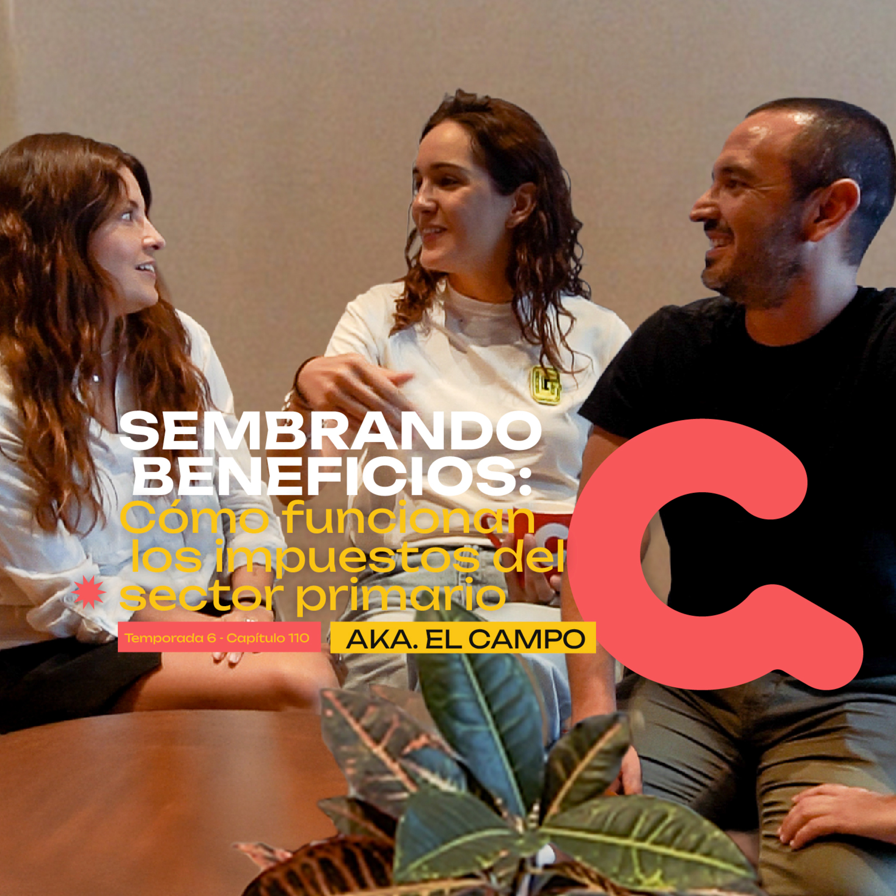 110. Sembrando beneficios: Cómo funcionan los impuestos del Sector Primario, AKA "el Campo", en México episode artwork