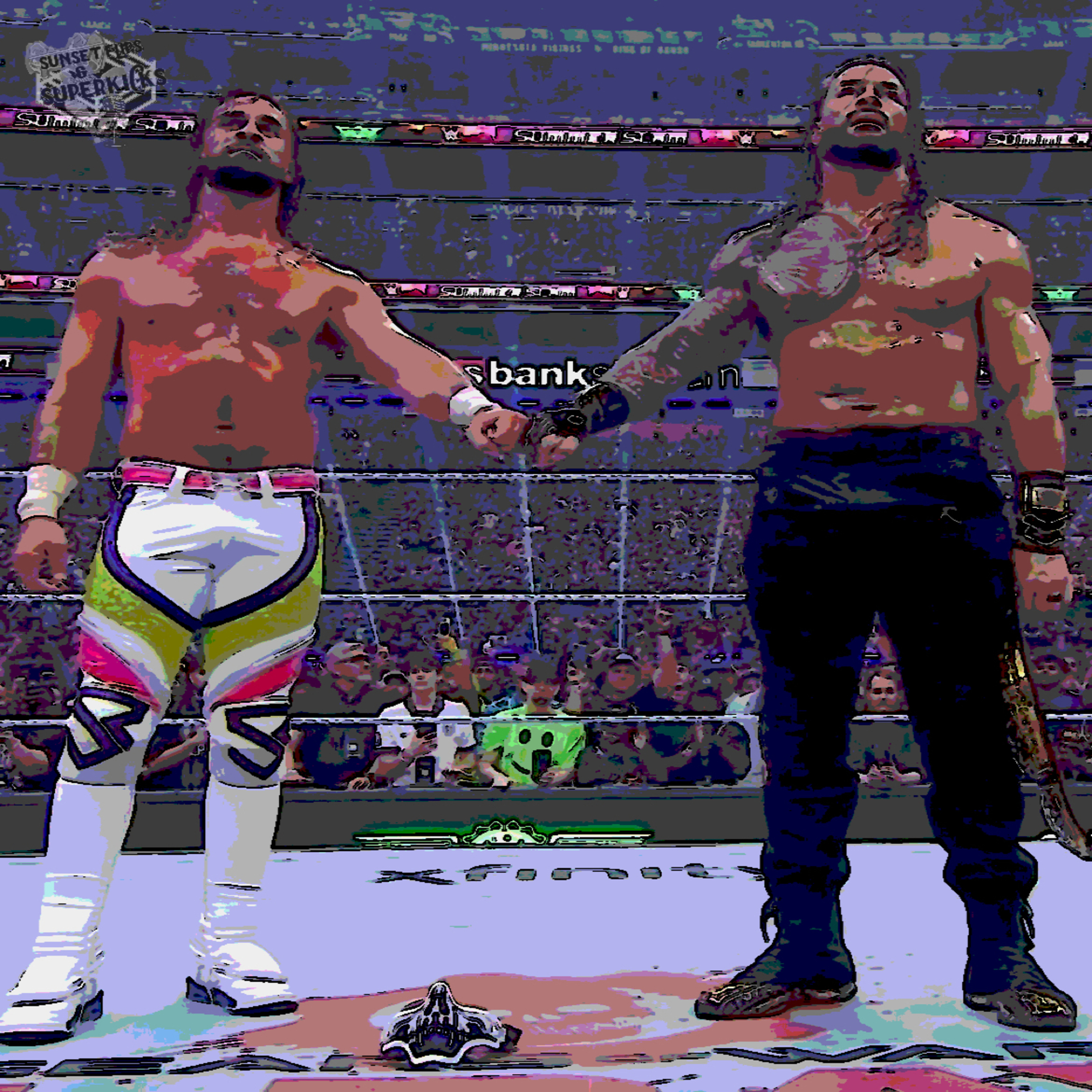 SummerSlam Ruled ! episode artwork