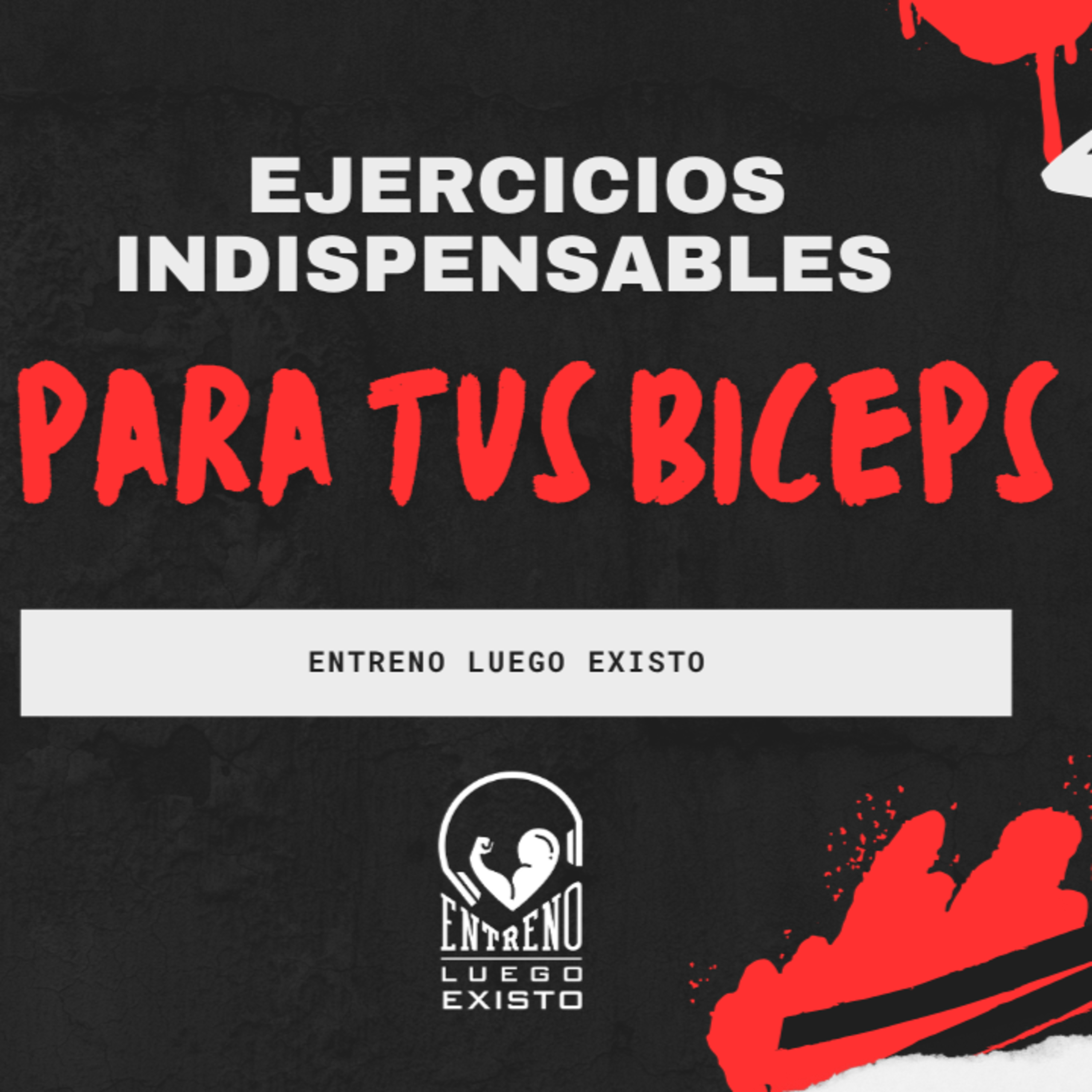 Los mejores ejercicios para tus biceps