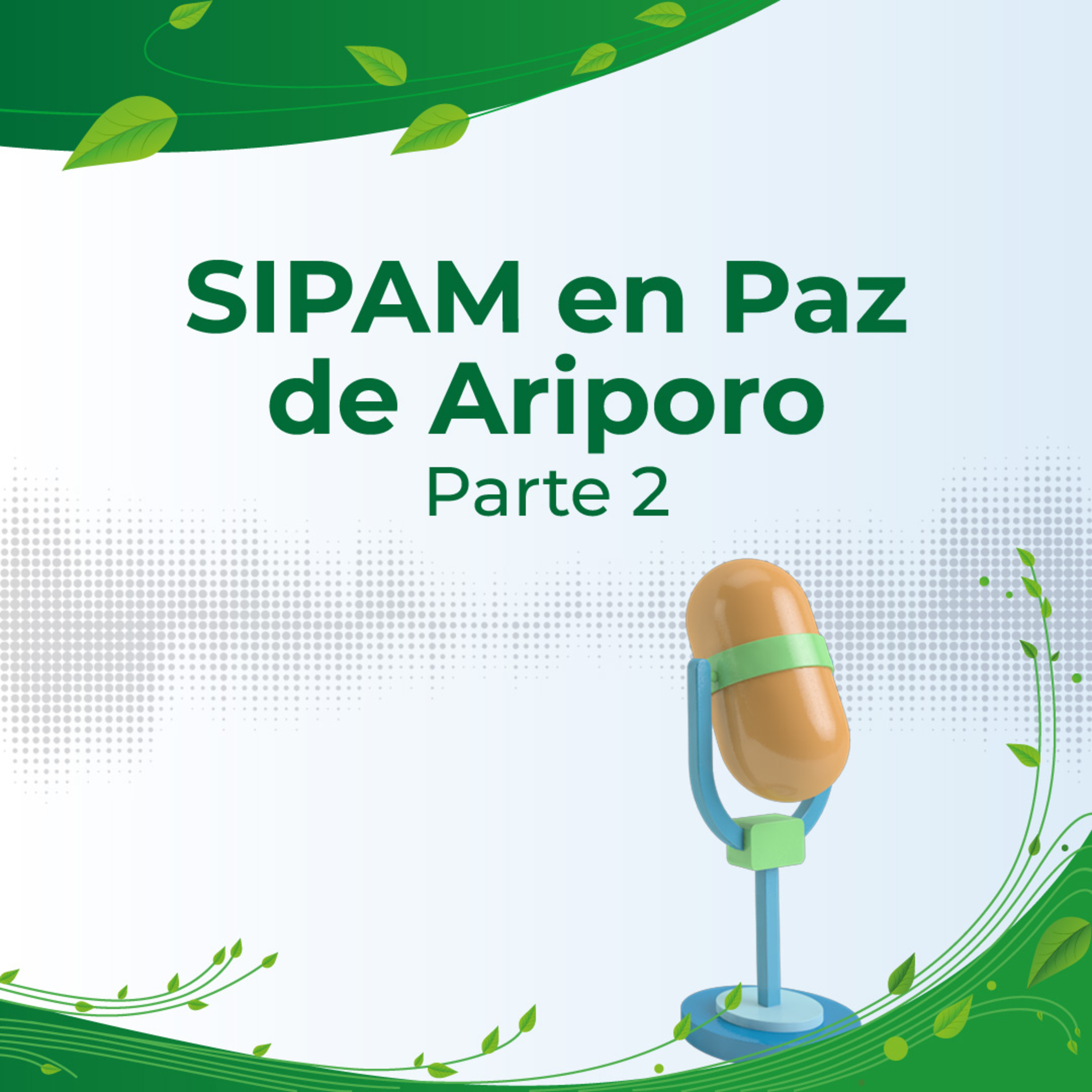 SIPAM en Paz de Ariporo - Parte 2
