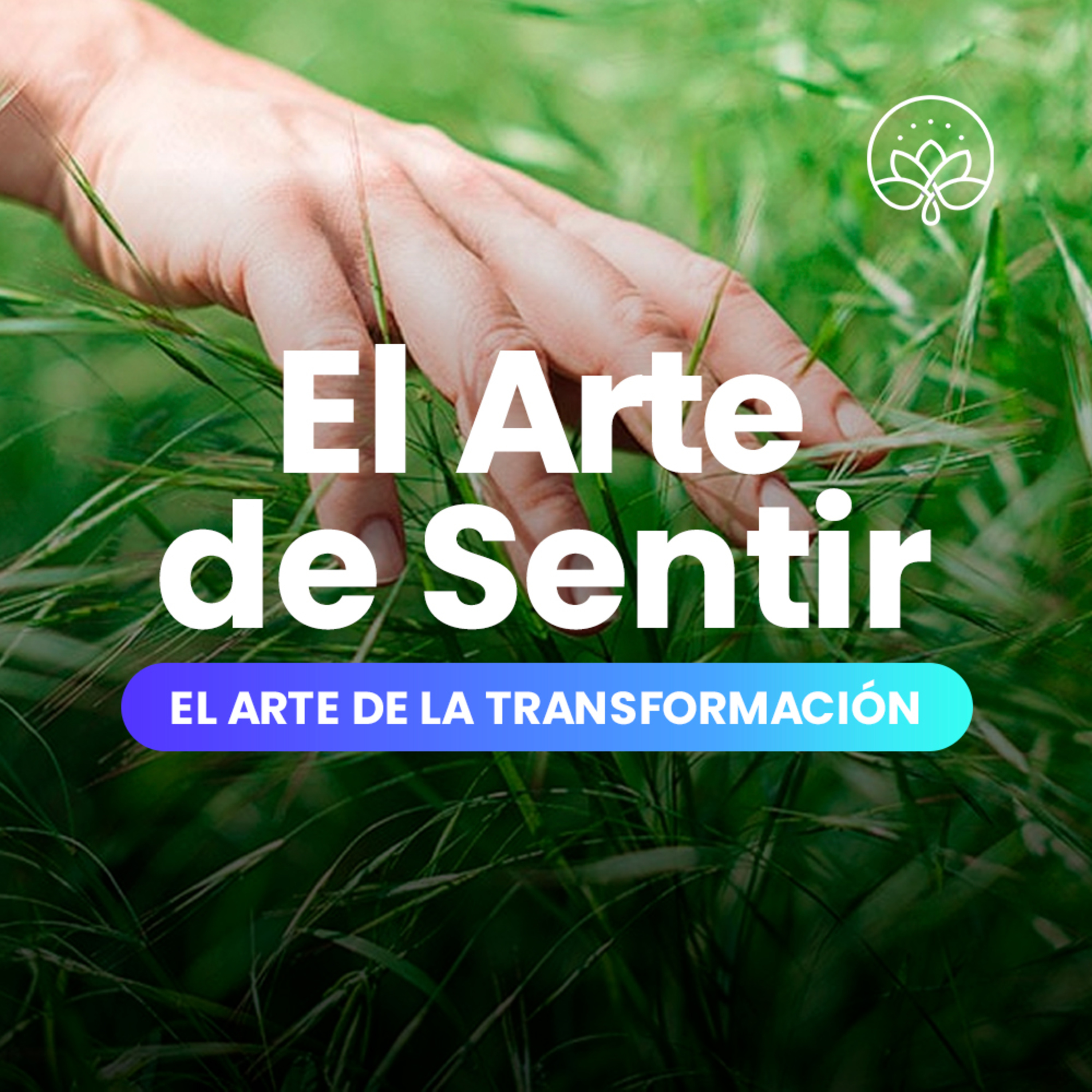 El Arte de la Transformación / 01. El Arte de Sentir