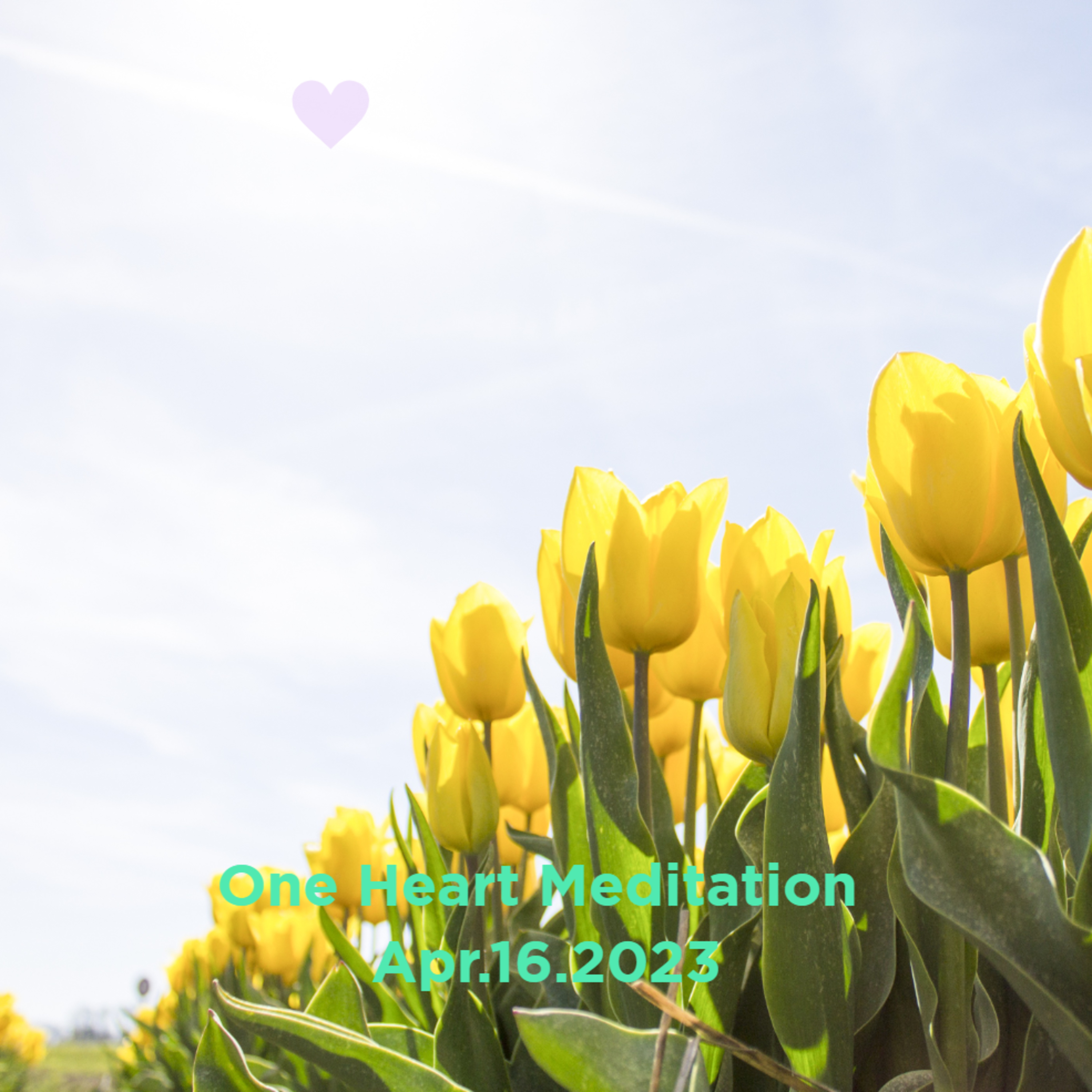 One Heart Meditation Apr162023 episode artwork