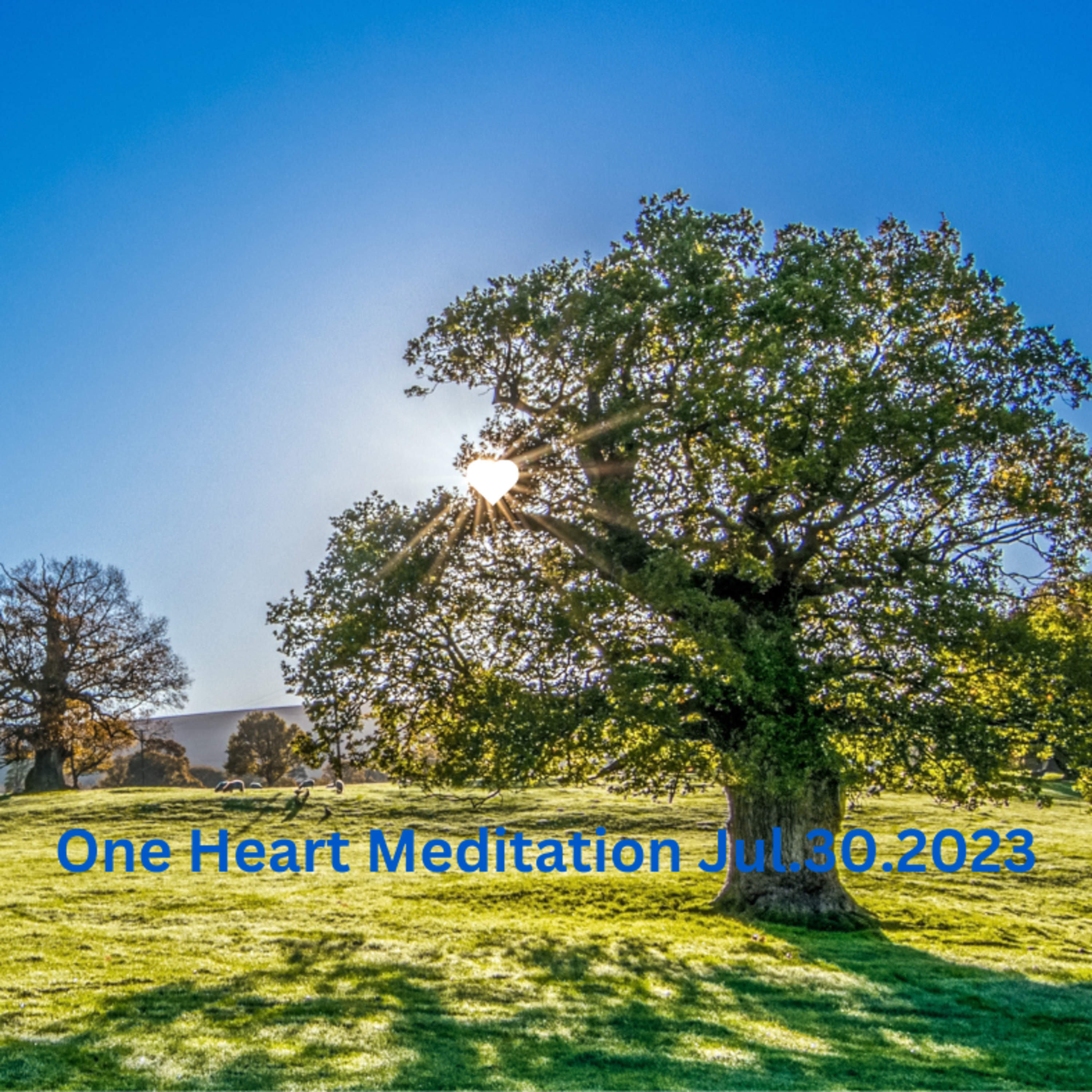 One Heart Meditation Jul302023 episode artwork