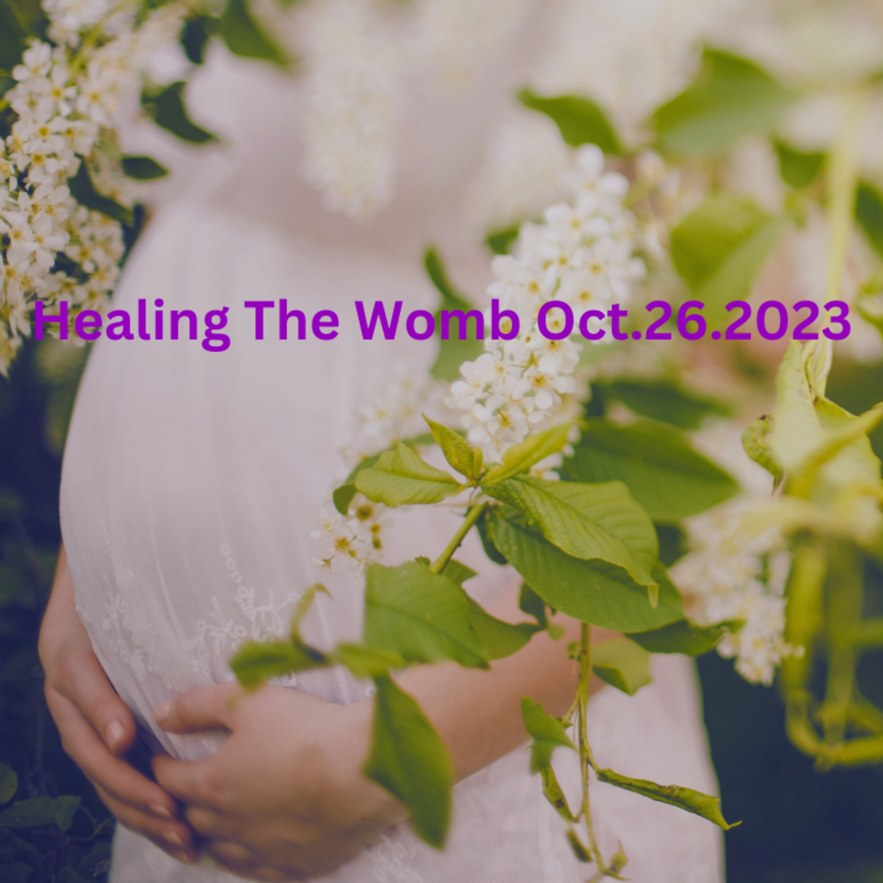 Healing The Womb Oct262023 episode artwork